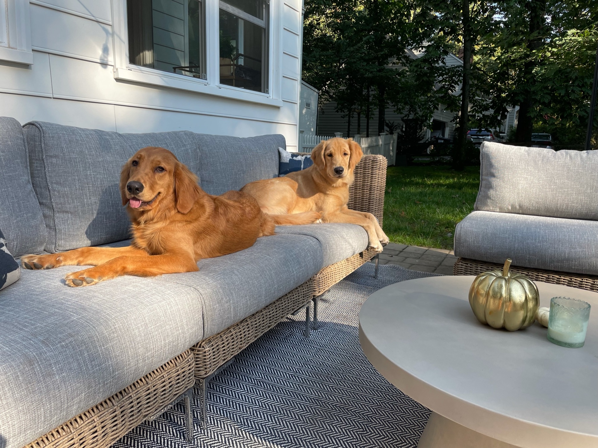 Twilight Ambiance in Beautiful Virginia - Photo 6