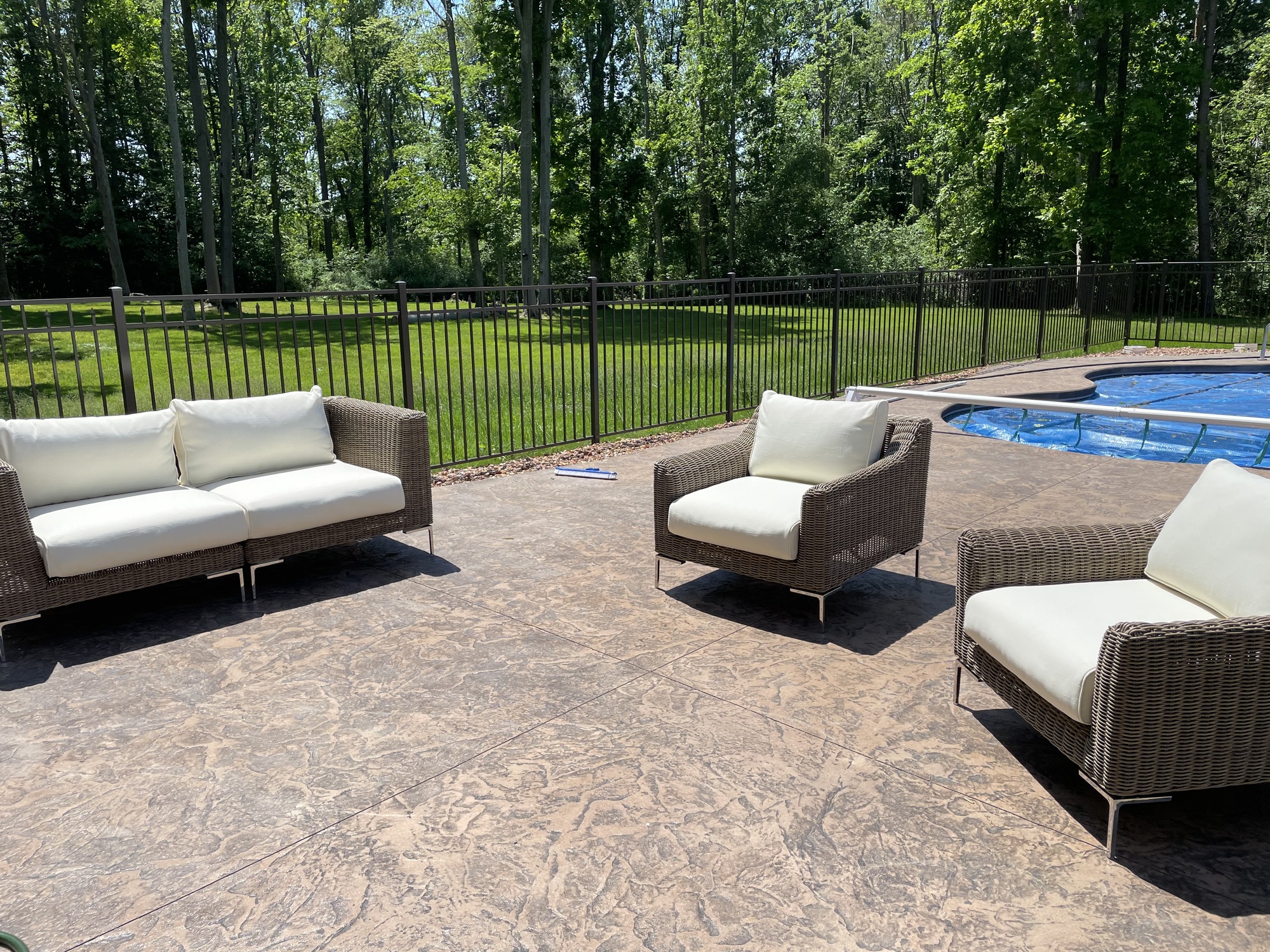 A Natural Wonderland in a Dunkirk Backyard - Photo 4