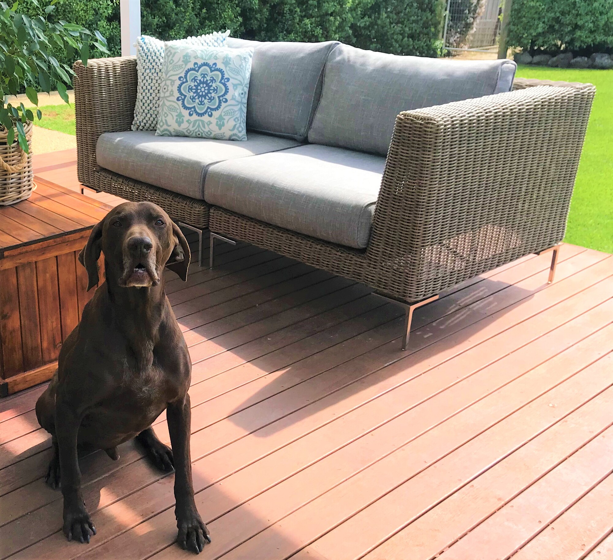 A Waurn Ponds Backyard Bordering a Nature Reserve - Photo 3