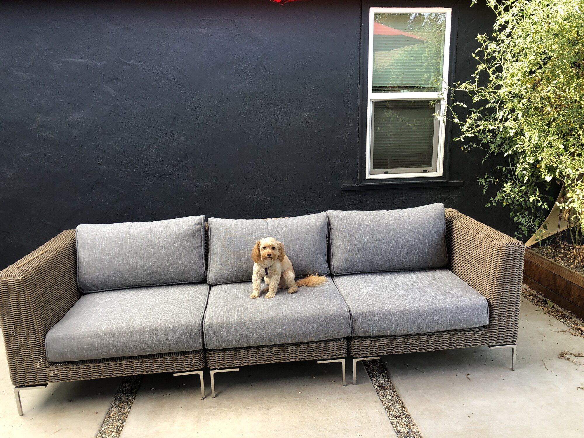 Cozy Modern Patio in Sacramento - Photo 2