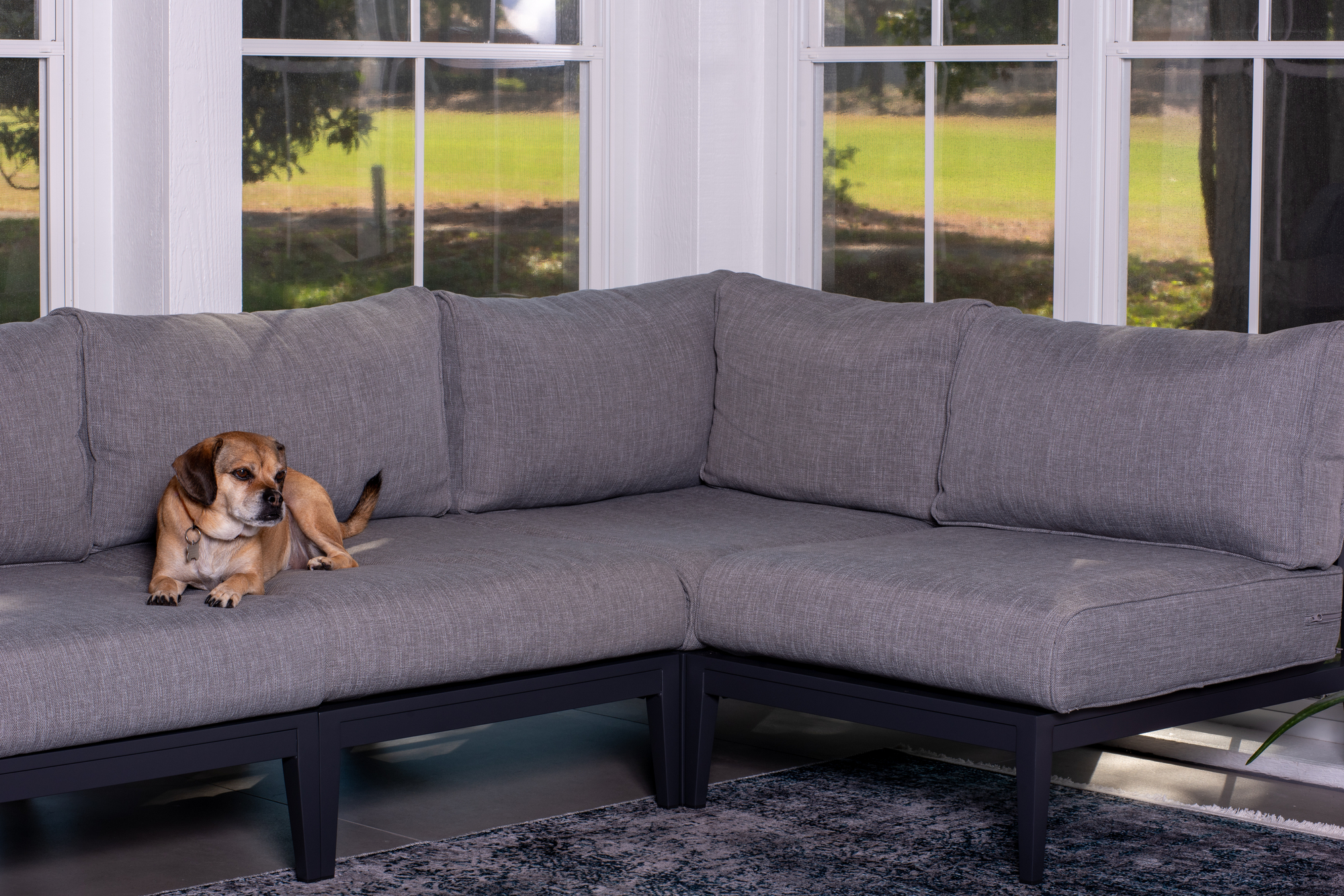 Indoor-Outdoor Flow in a Classic “Carolina Room” - Photo 5