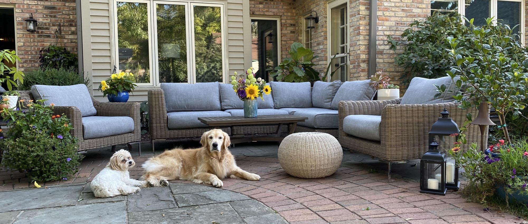 Florals, Lights, and a Garden Meant for Entertaining - Photo 1