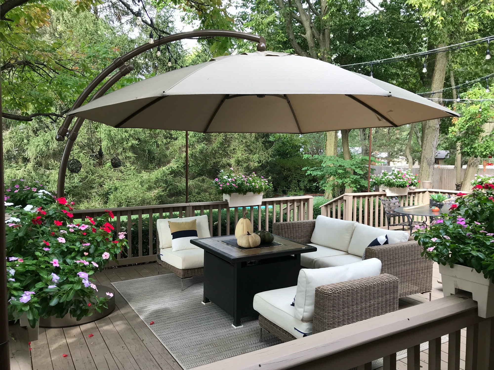 A Slice of Heaven in Ohio - Photo 1