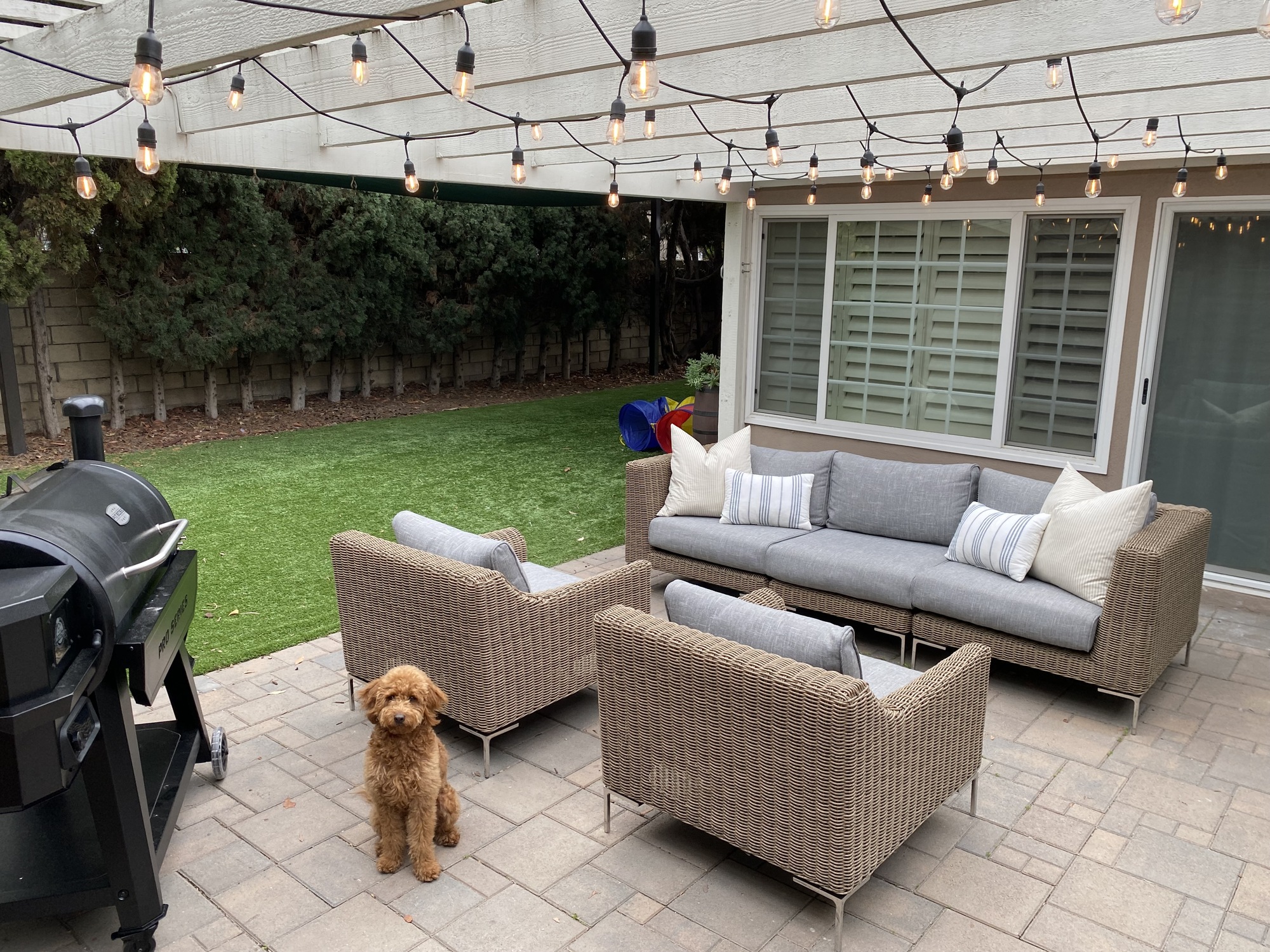 A Work-From-Home Couple’s Eclectic Backyard - Photo 2