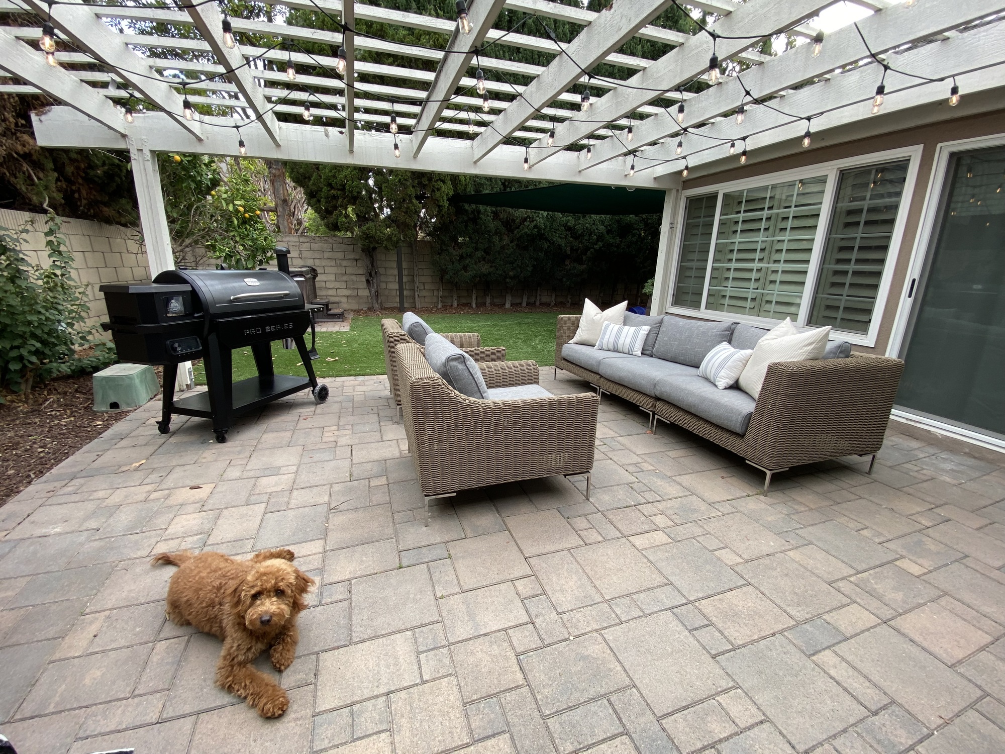 A Work-From-Home Couple’s Eclectic Backyard - Photo 3