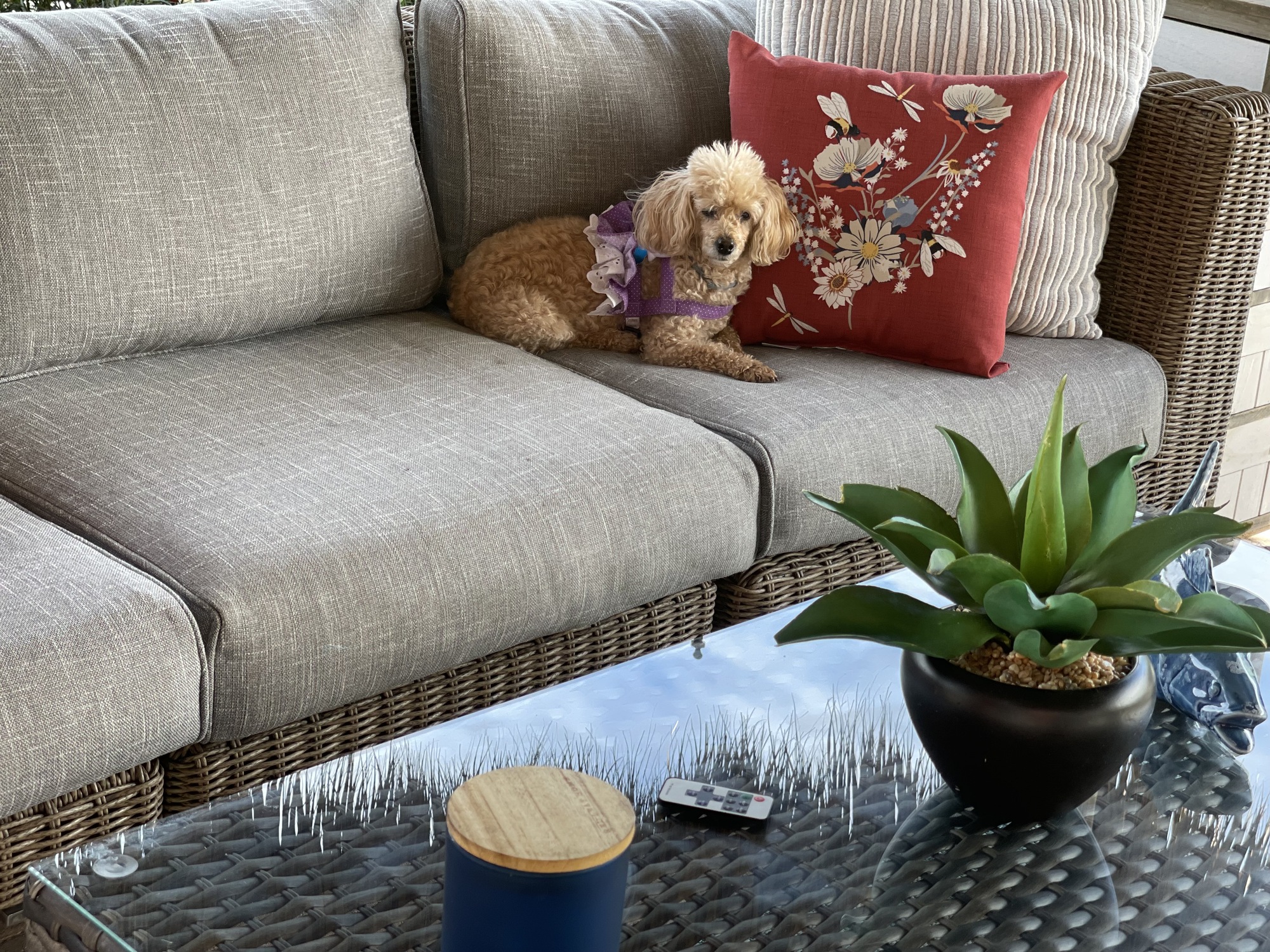 Life’s a Vacation in This Florida Tiki Hut - Photo 6