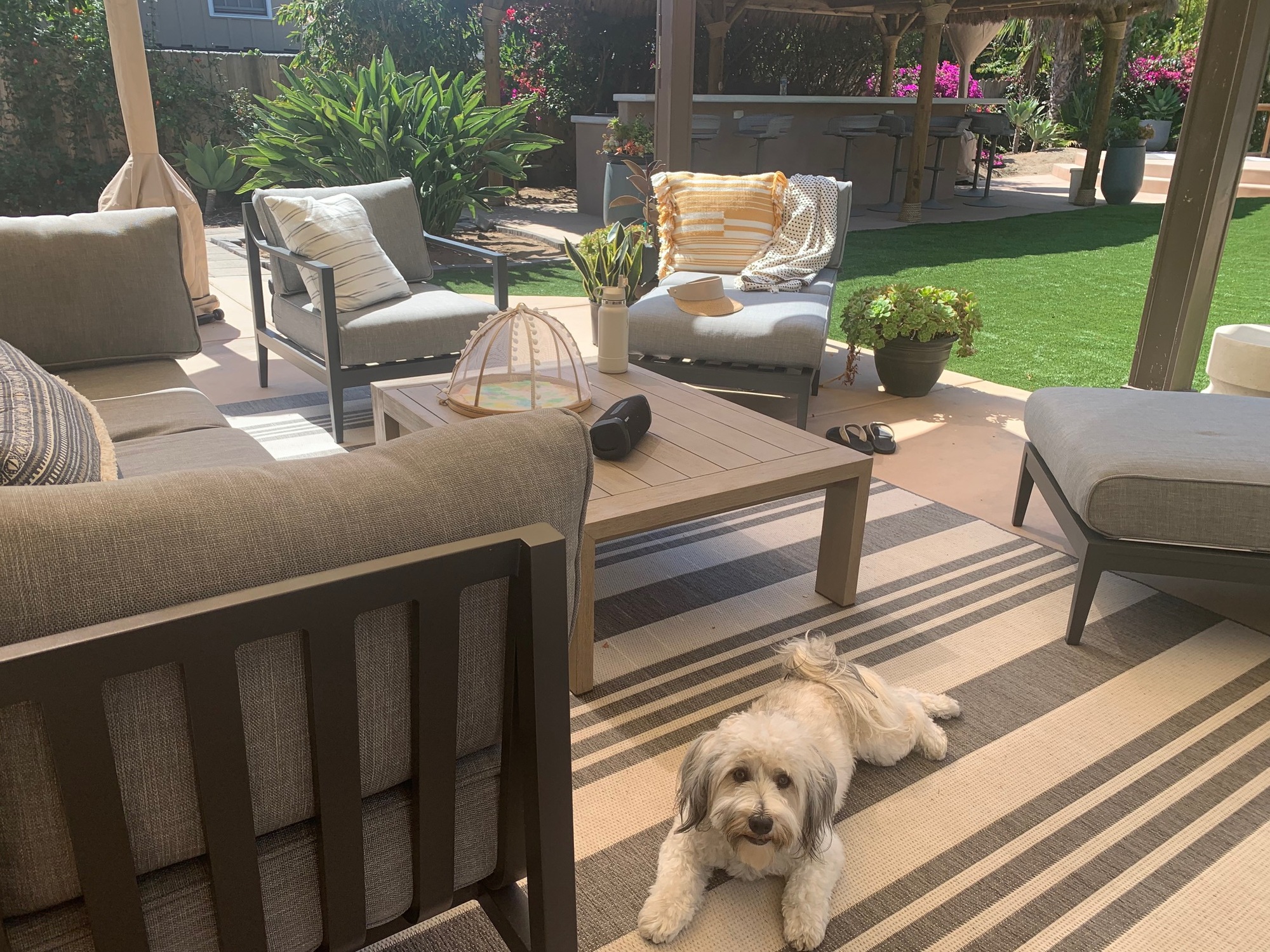 An Extended Family’s Gathering Post in Encinitas - Photo 6