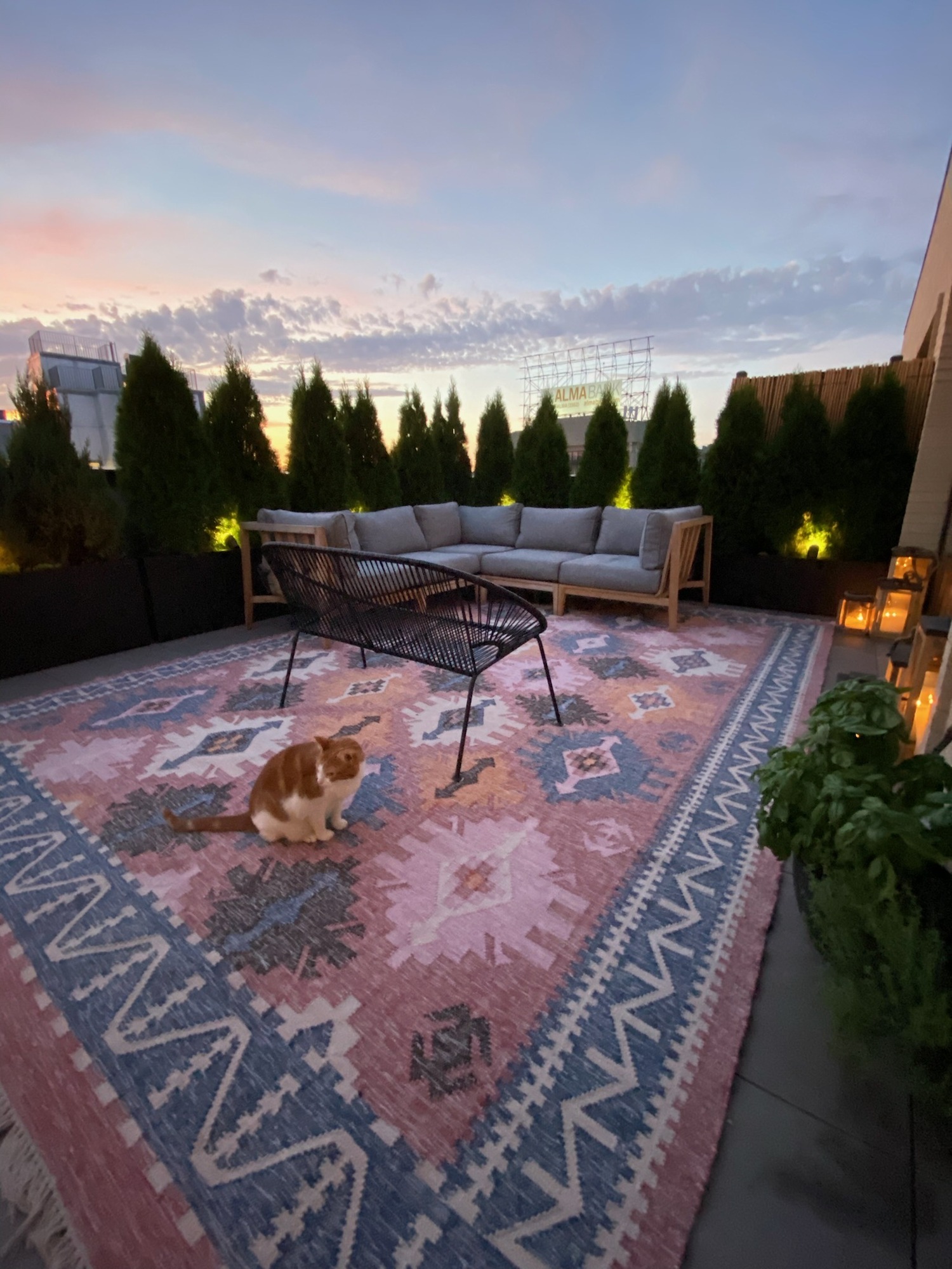 A Stunning City Terrace in New York - Photo 2