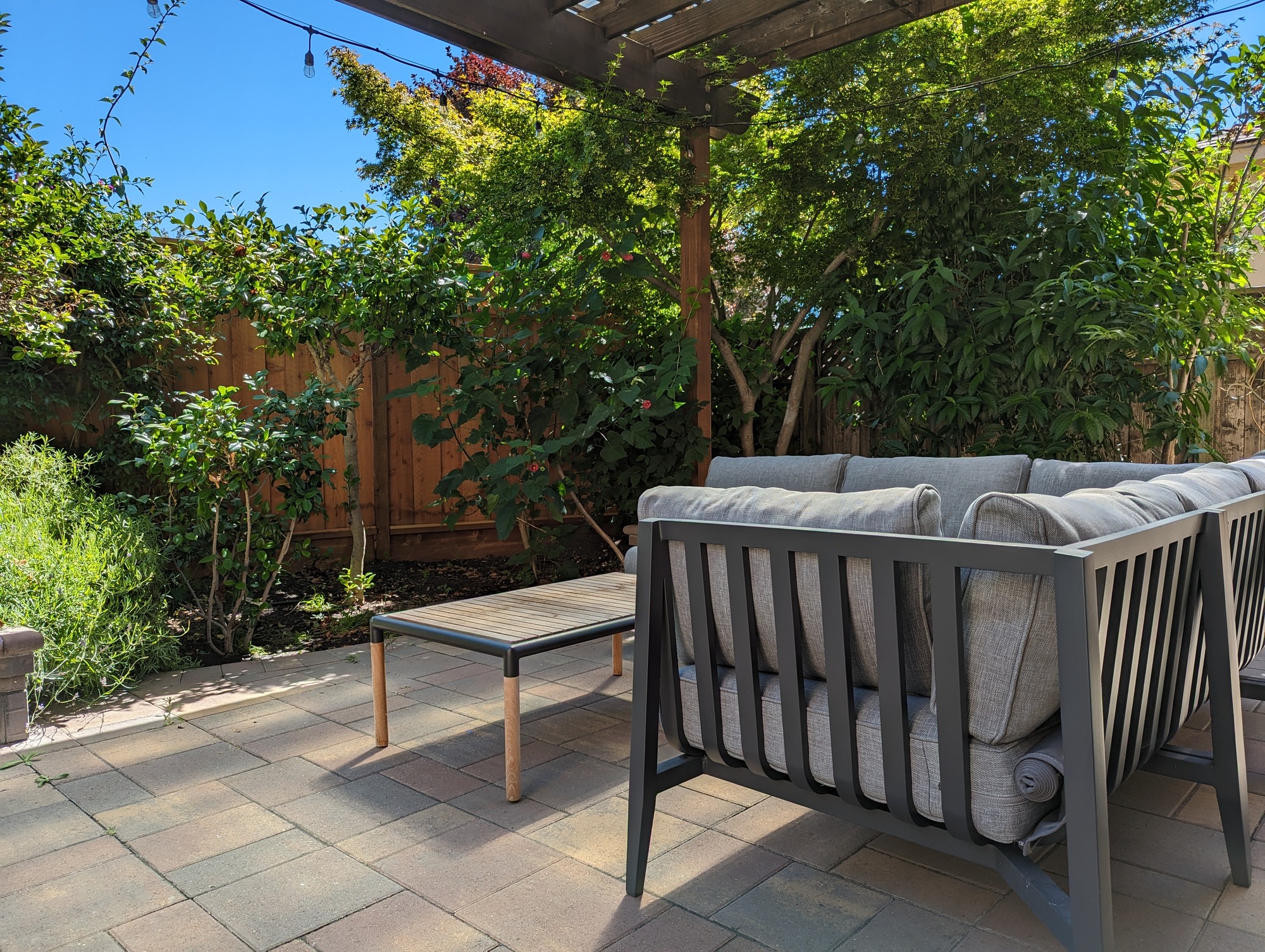 Relaxing Under the Pergola in Redwood City, CA - Photo 4