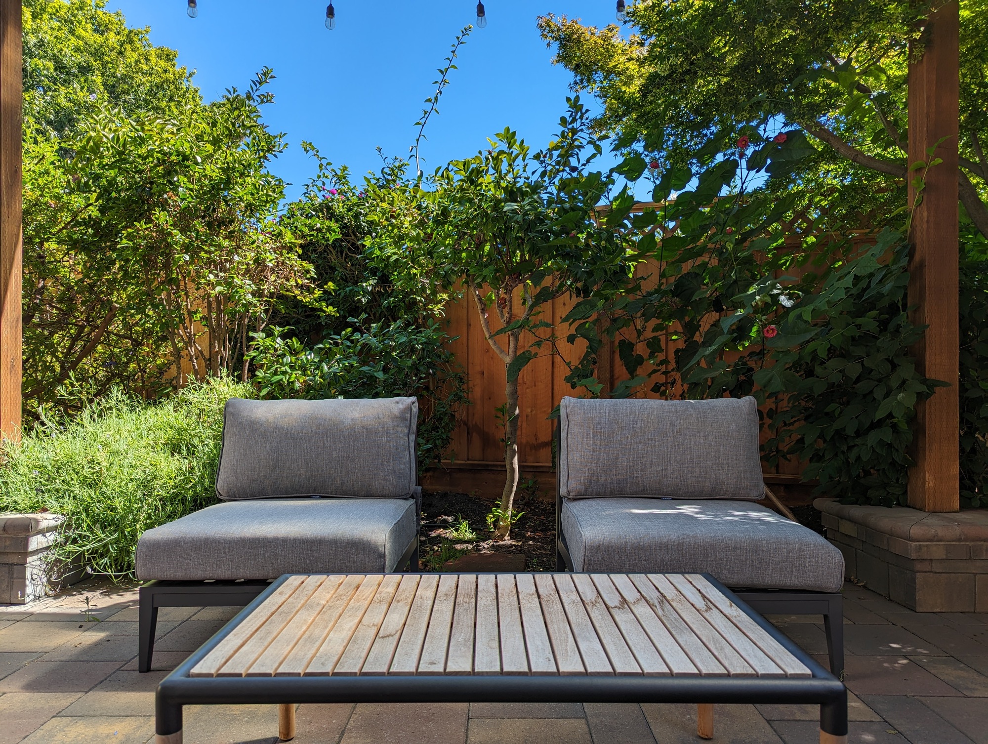 Relaxing Under the Pergola in Redwood City, CA - Photo 5