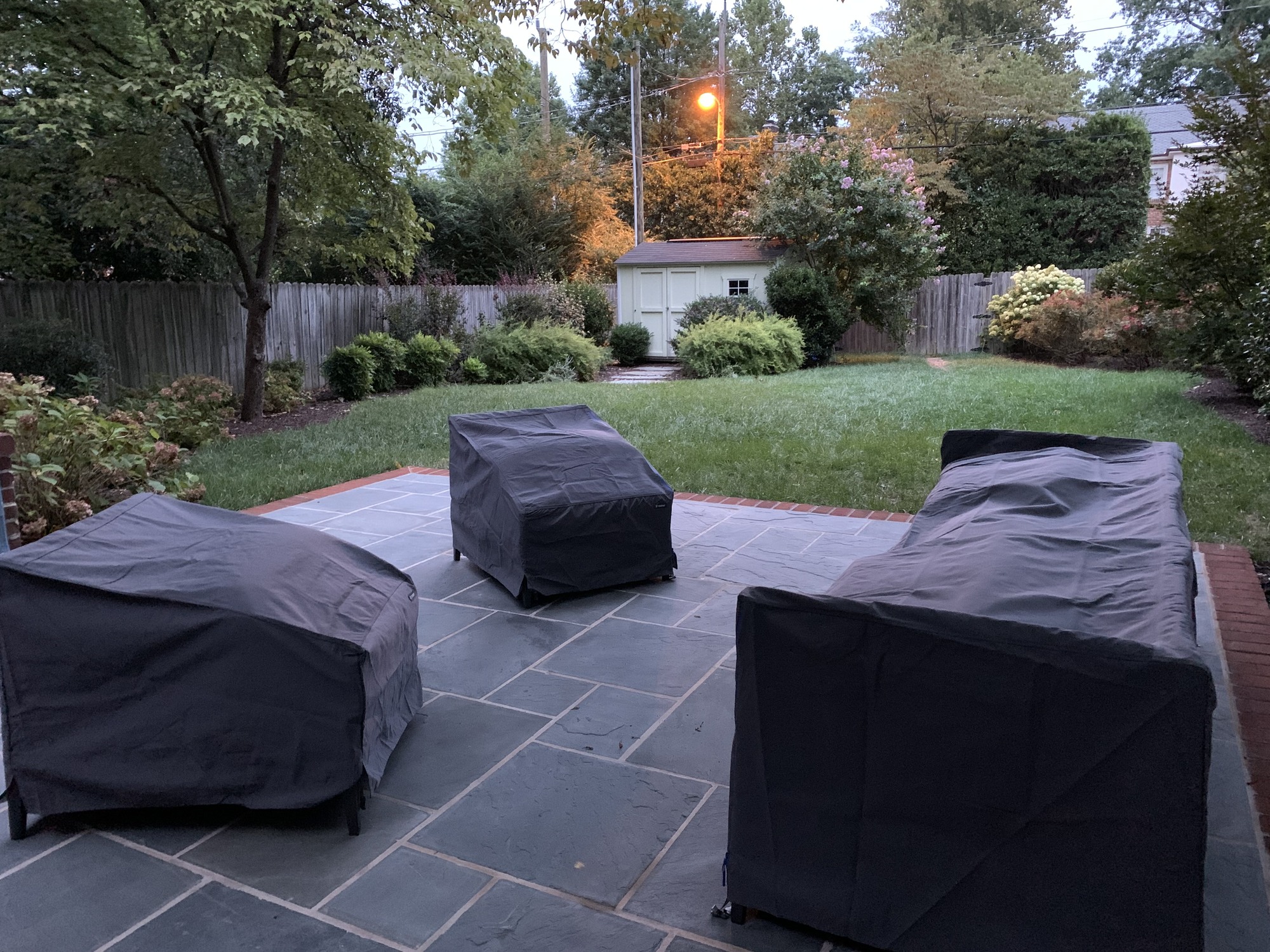 A Family’s Vibrant Floral Sanctuary in Richmond, VA - Photo 3