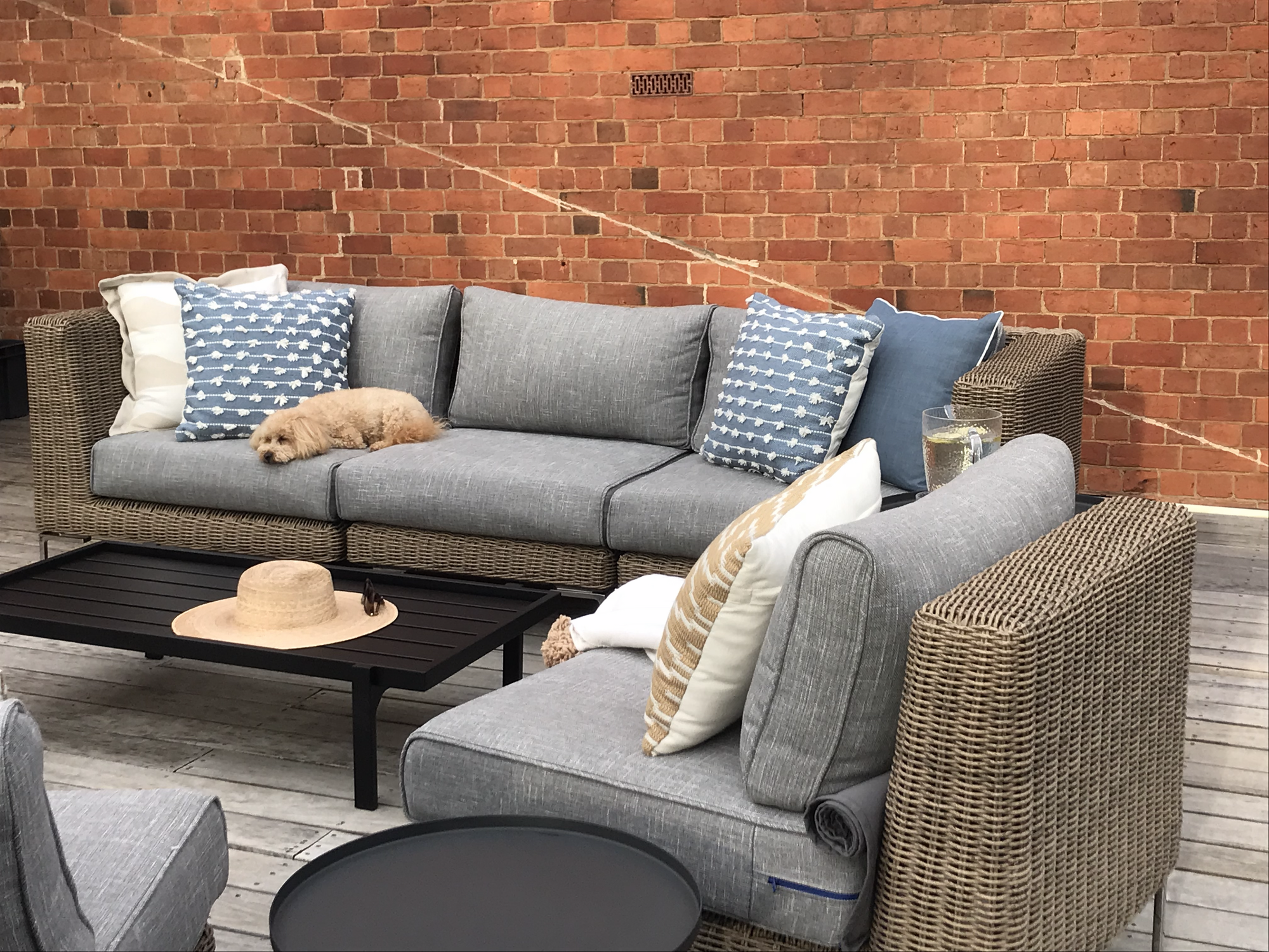 An Oasis in the Middle of the City - Photo 3