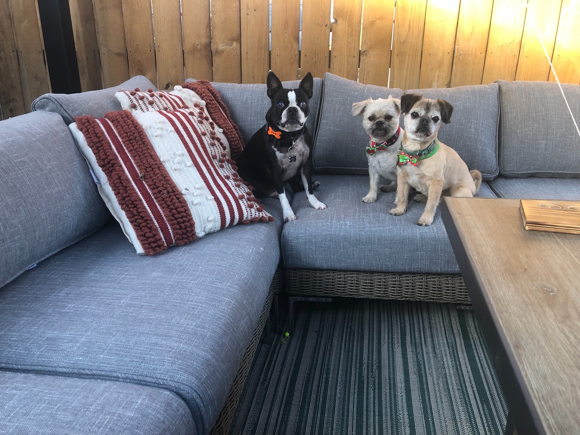 Endless Possibilities in this Colorado ‘Nook of Fun’ - Photo 2