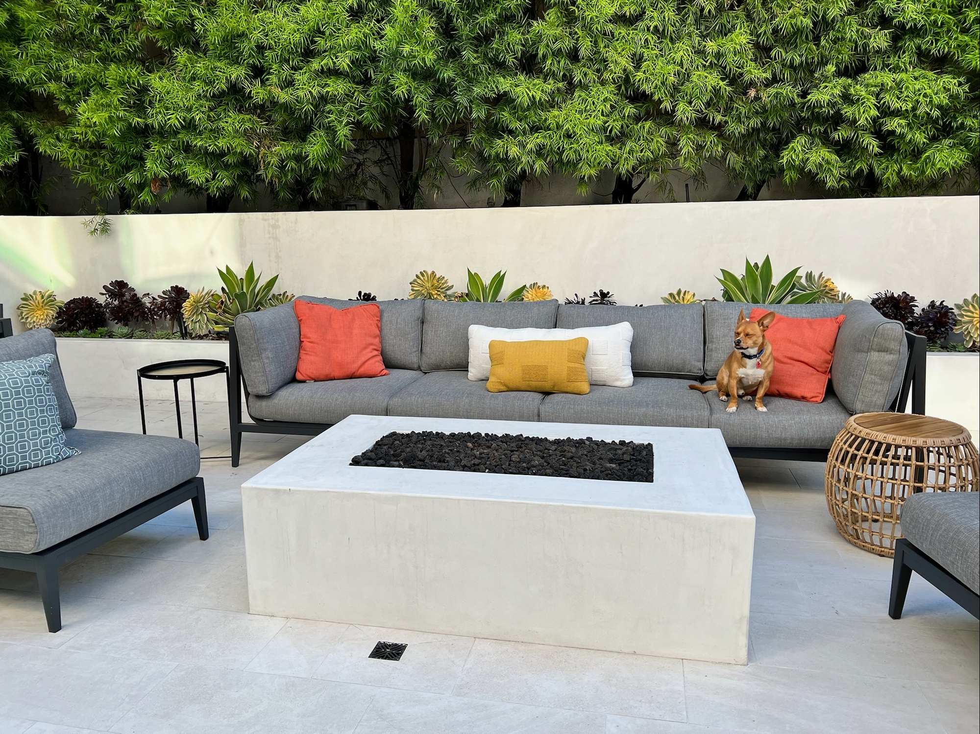 An Elite Athlete’s Cozy Patio in Manhattan Beach - Photo 2