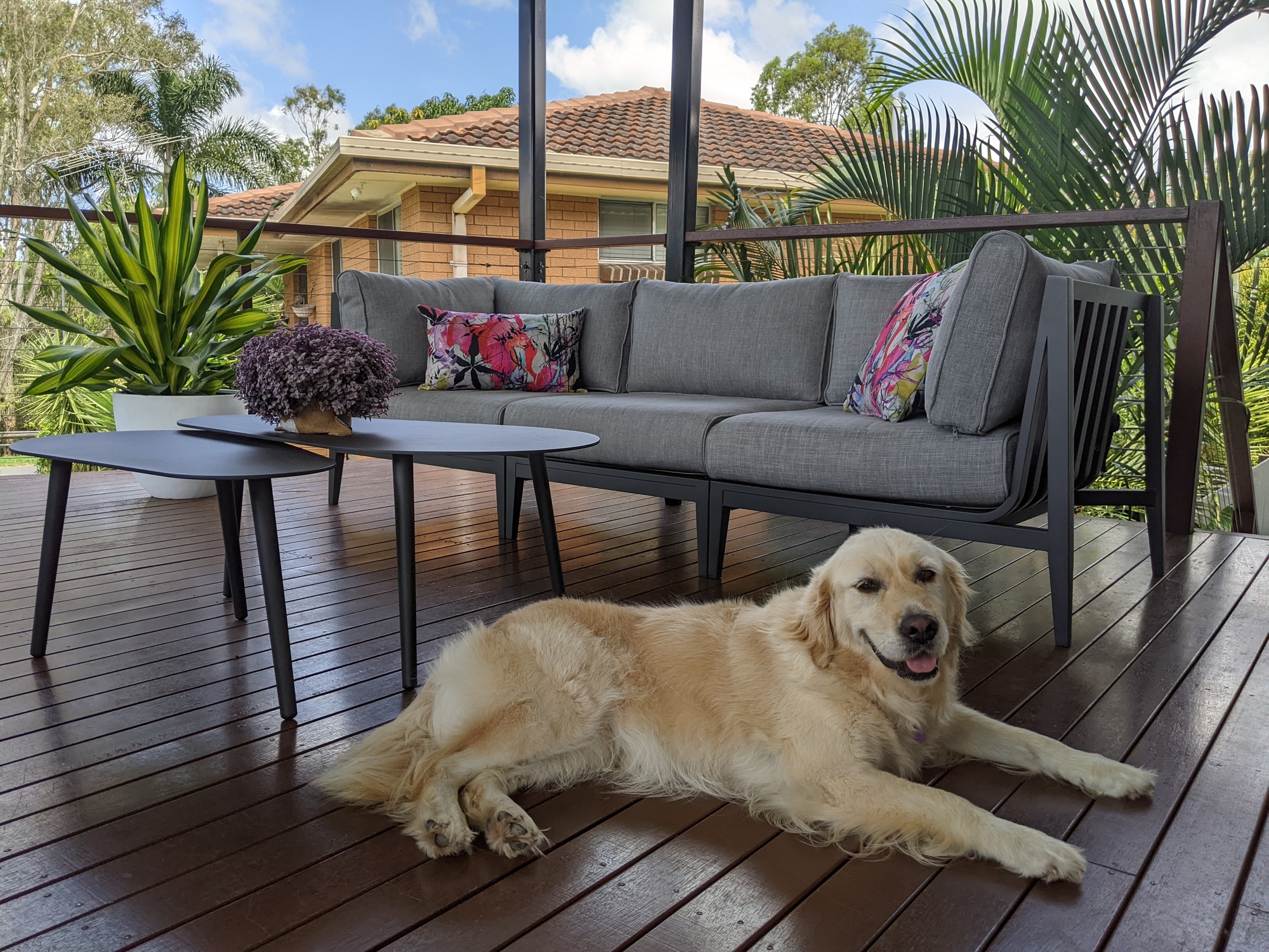A Breezy Deck Overlooking the Park in Brisbane - Photo 4