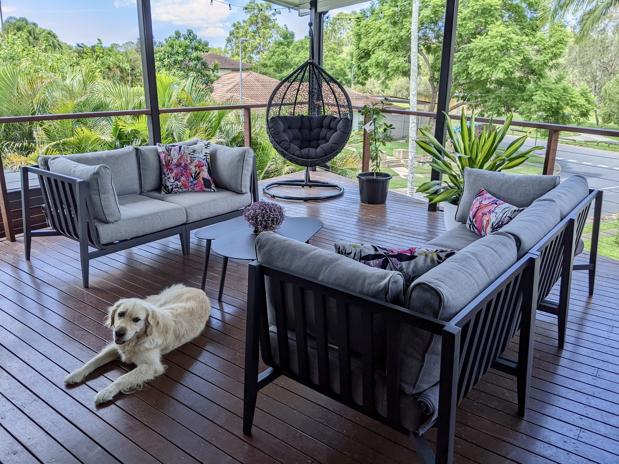 A Breezy Deck Overlooking the Park in Brisbane - Photo 5
