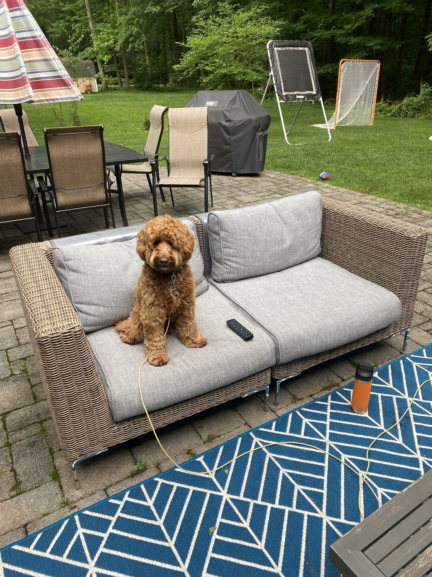 Relaxing Patio in New Jersey - Photo 6