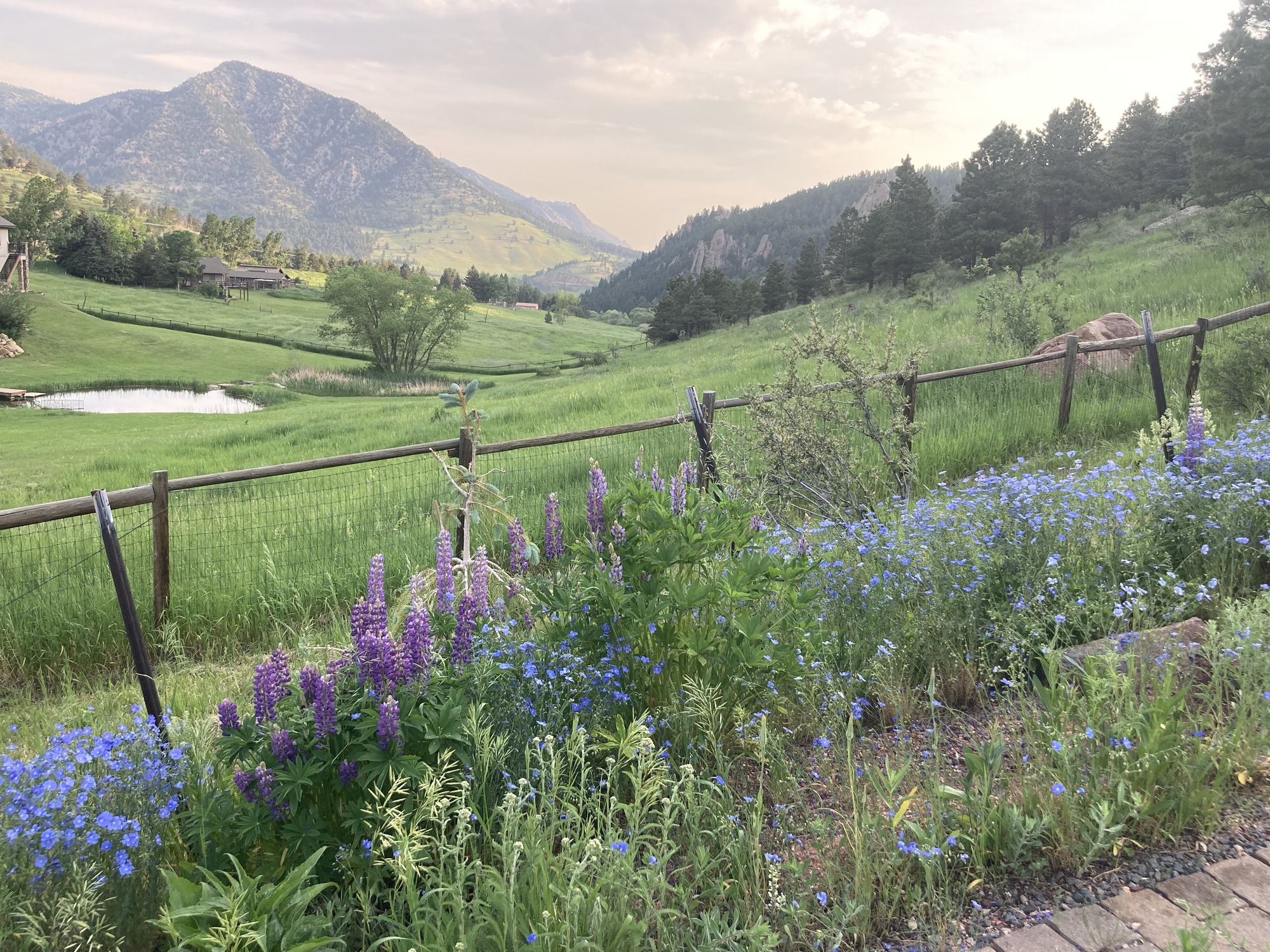 Mountainside Patio in Golden, CO - Photo 6
