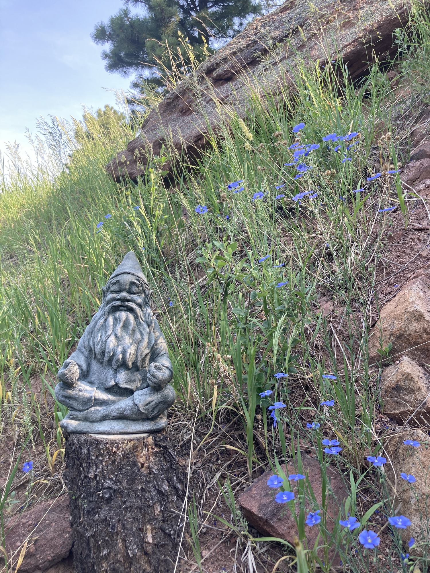 Mountainside Patio in Golden, CO - Photo 10