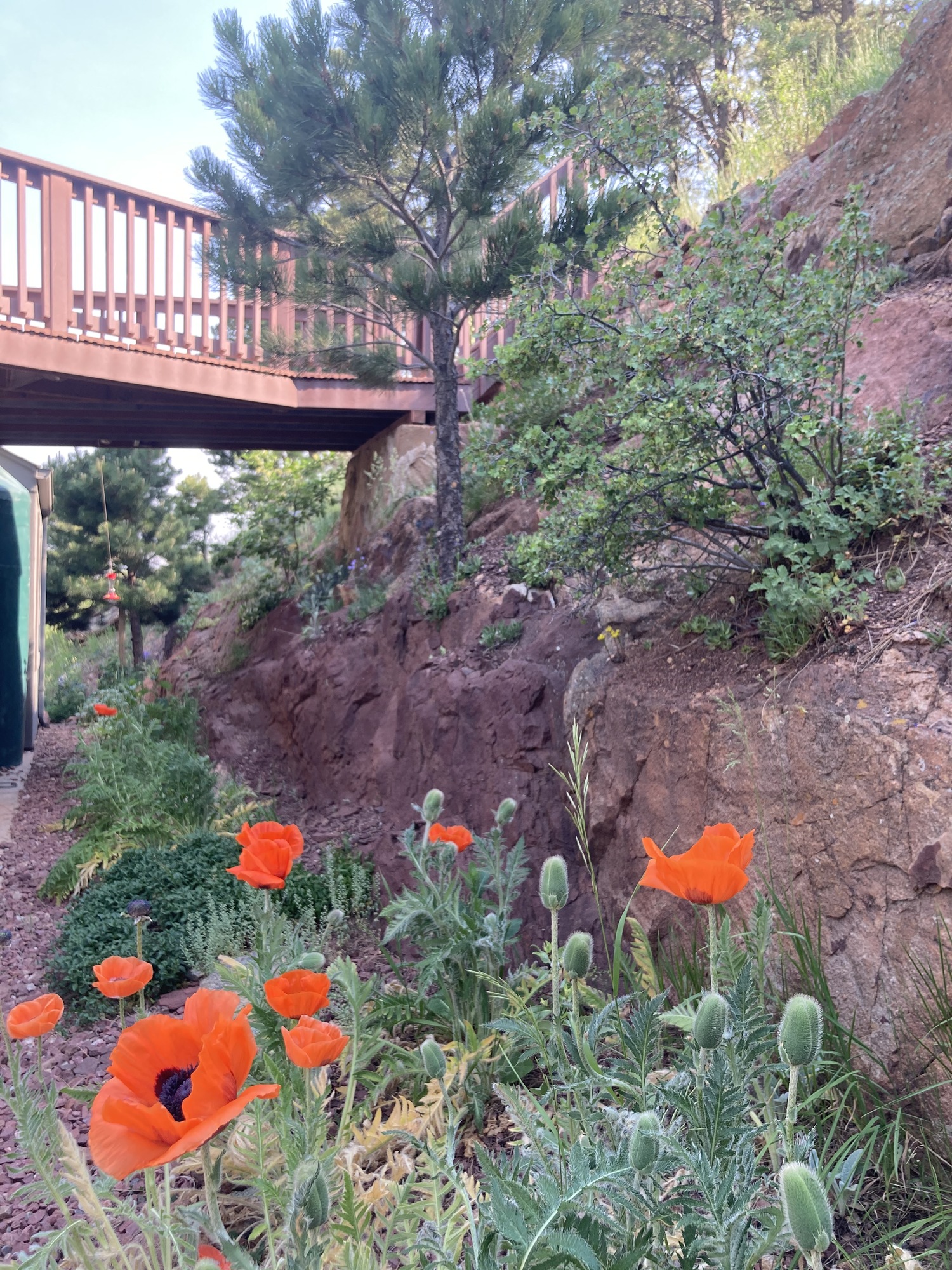 Mountainside Patio in Golden, CO - Photo 11