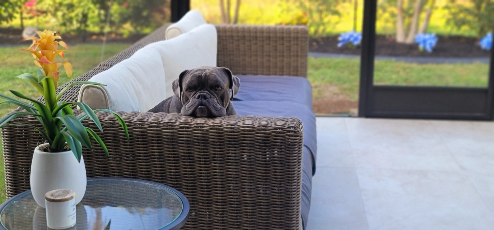 A Natural Tropical Wonderland in Western Florida - Photo 2