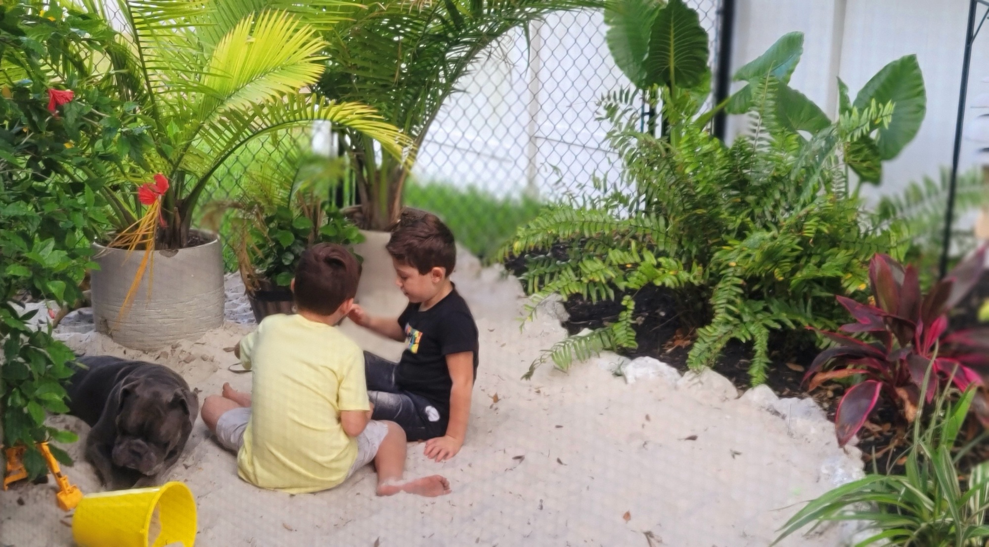 A Natural Tropical Wonderland in Western Florida - Photo 6