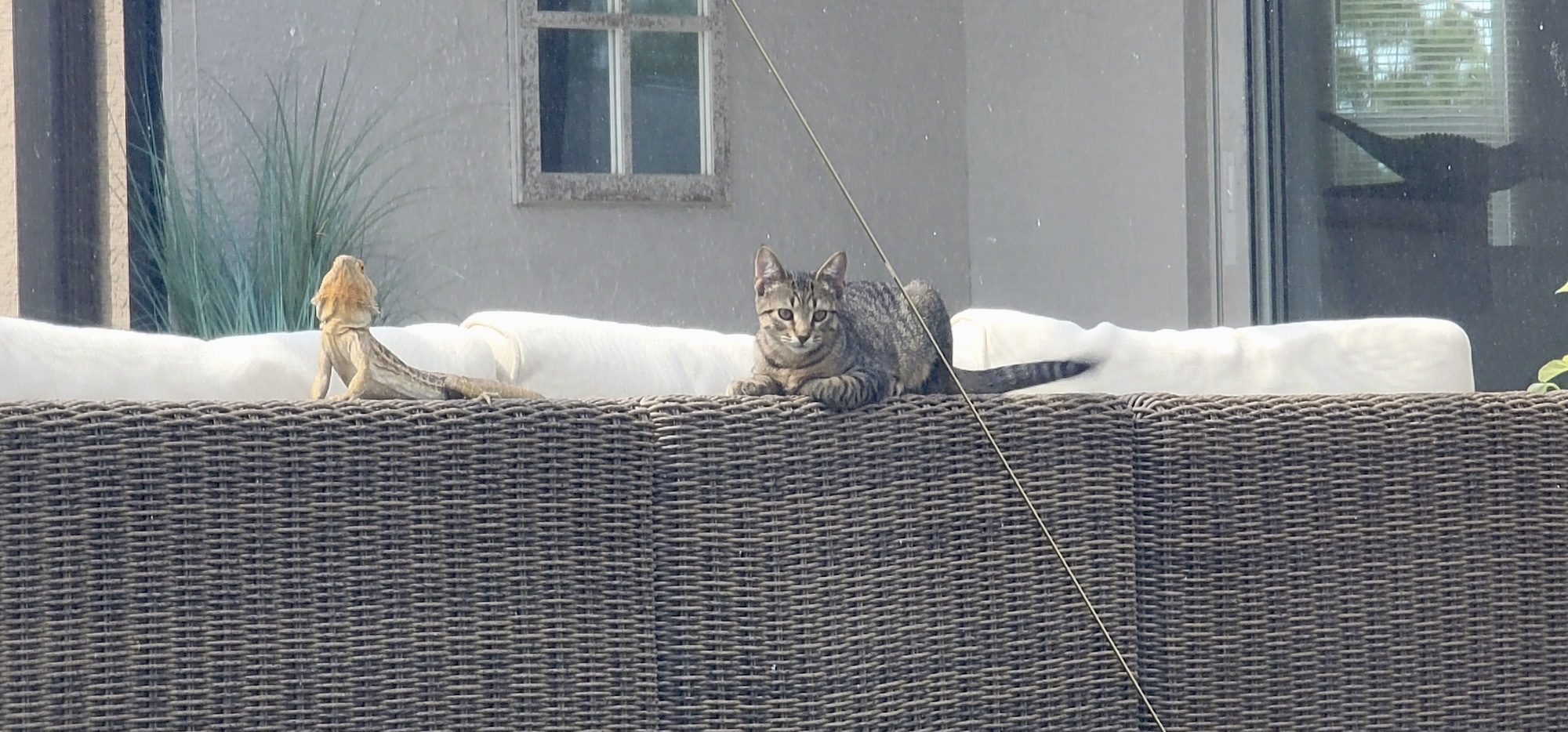 A Natural Tropical Wonderland in Western Florida - Photo 10