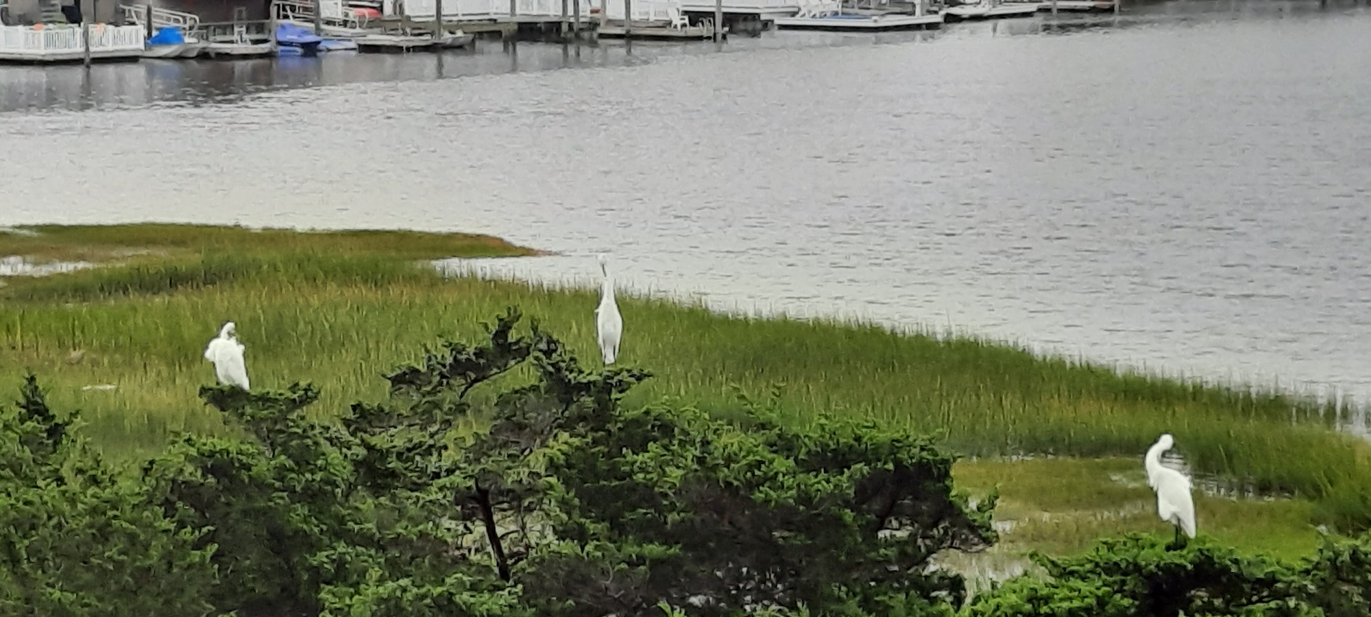 Spacious Waterfront Deck in Avalon, NJ - Photo 9