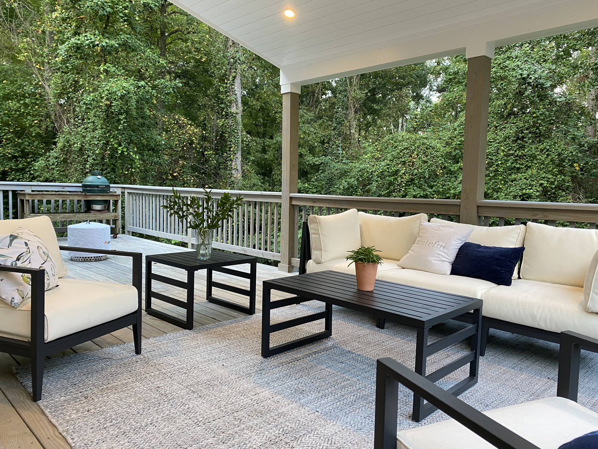 Sunset Views on Deck in Raleigh, NC - Photo 1