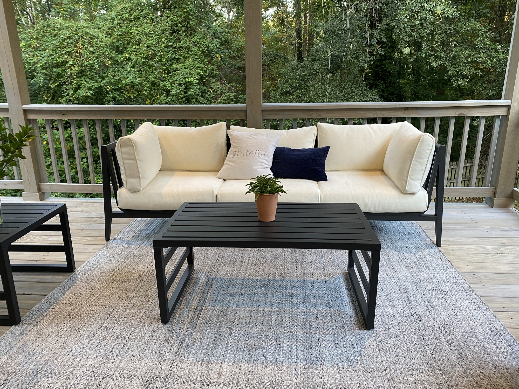 Sunset Views on Deck in Raleigh, NC - Photo 5