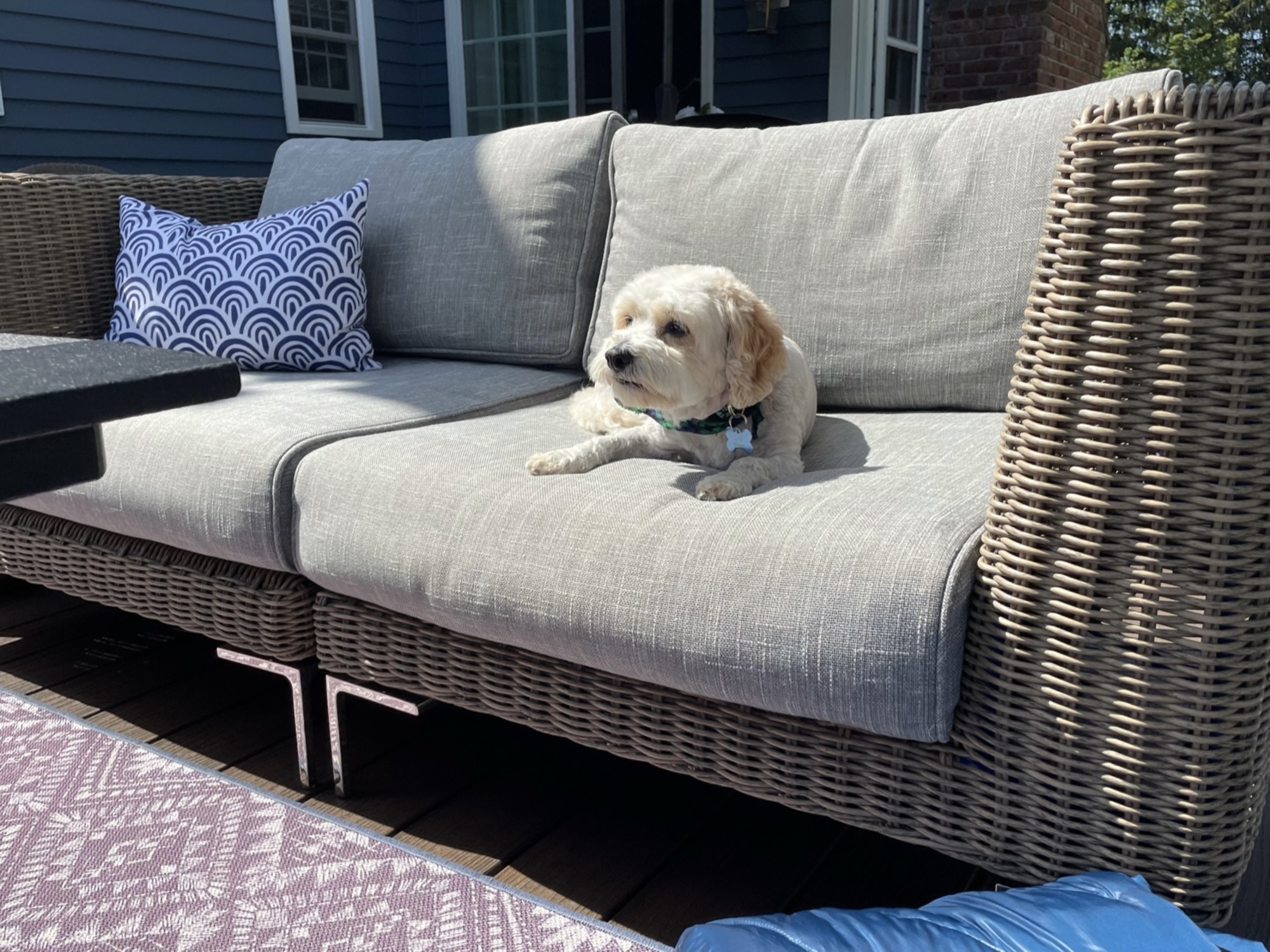 Pool Party Paradise in Somerset County - Photo 4