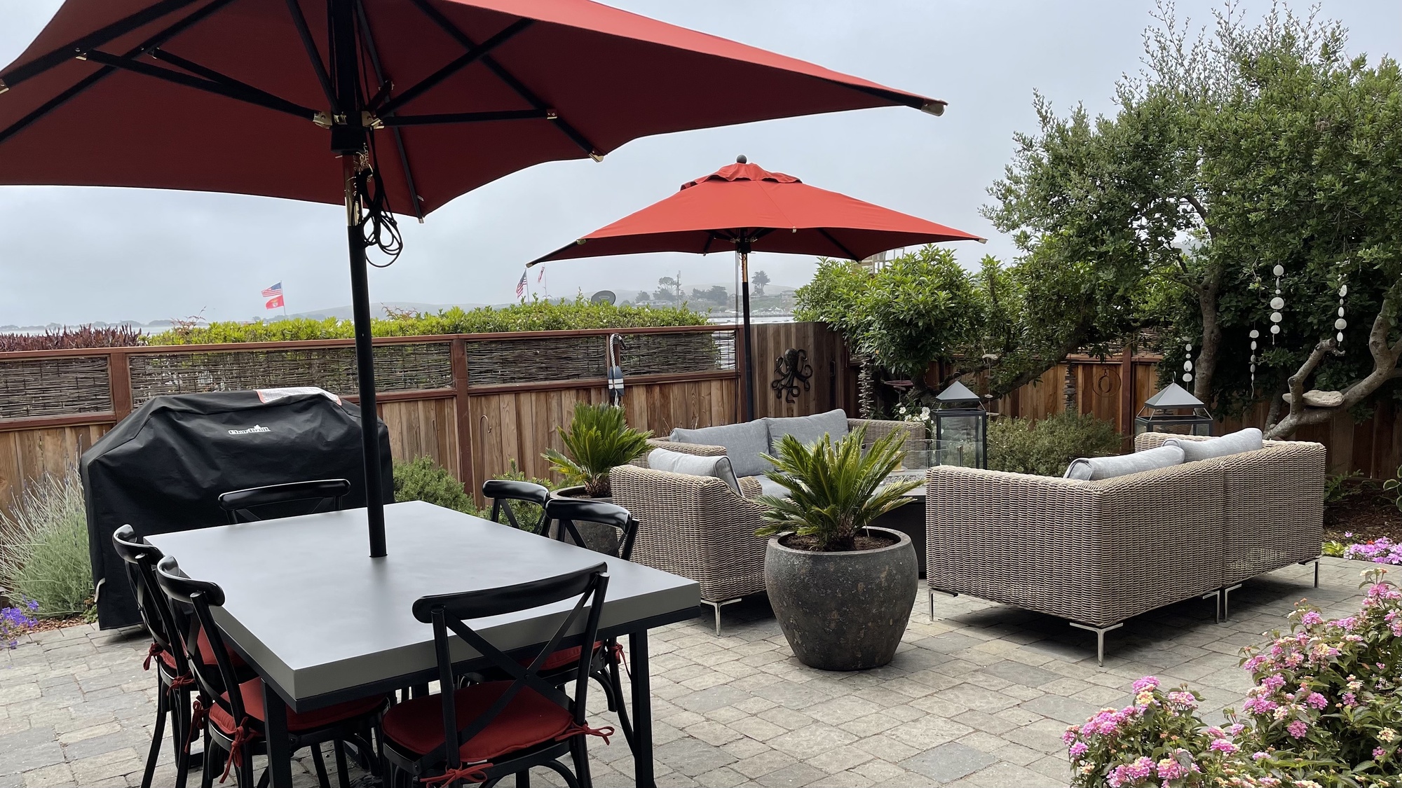 Gorgeous Bayside Backyard in Wine Country - Photo 2