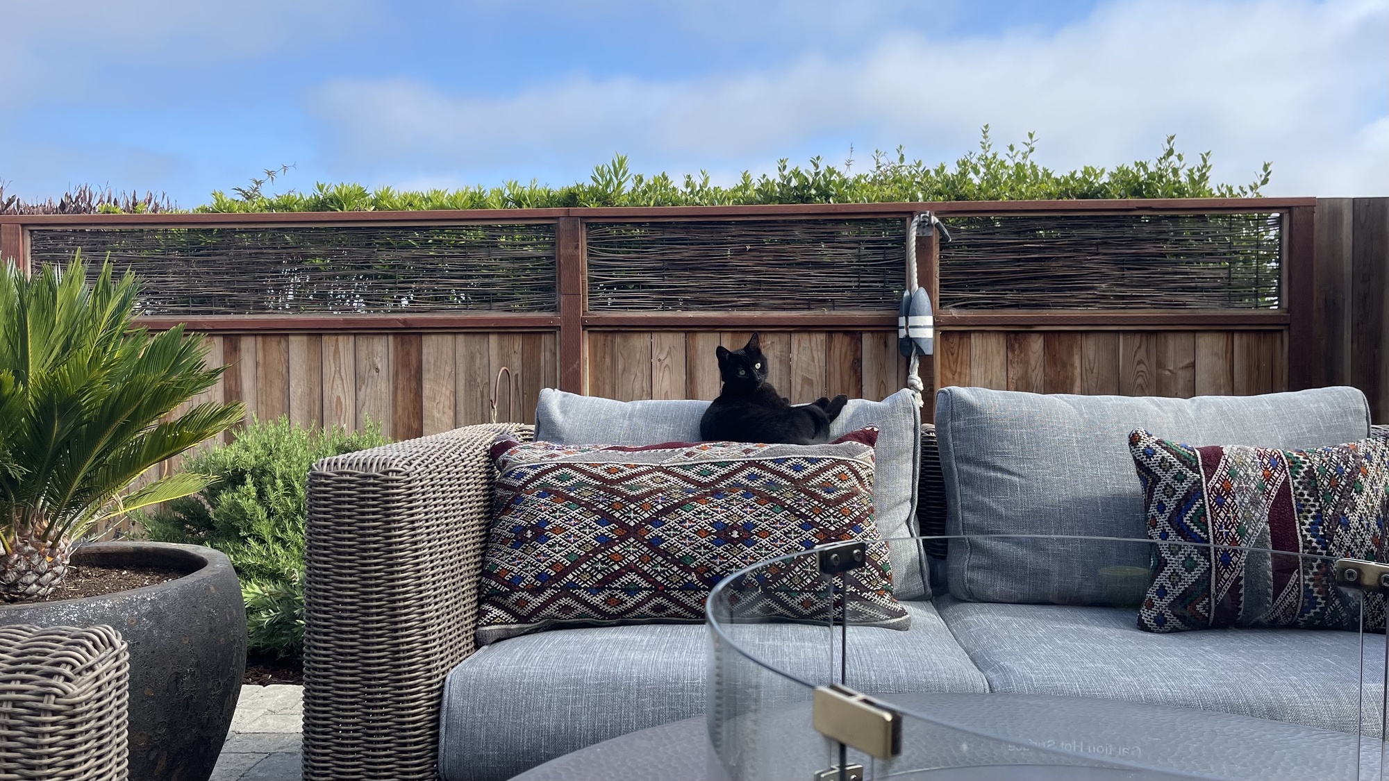 Gorgeous Bayside Backyard in Wine Country - Photo 5