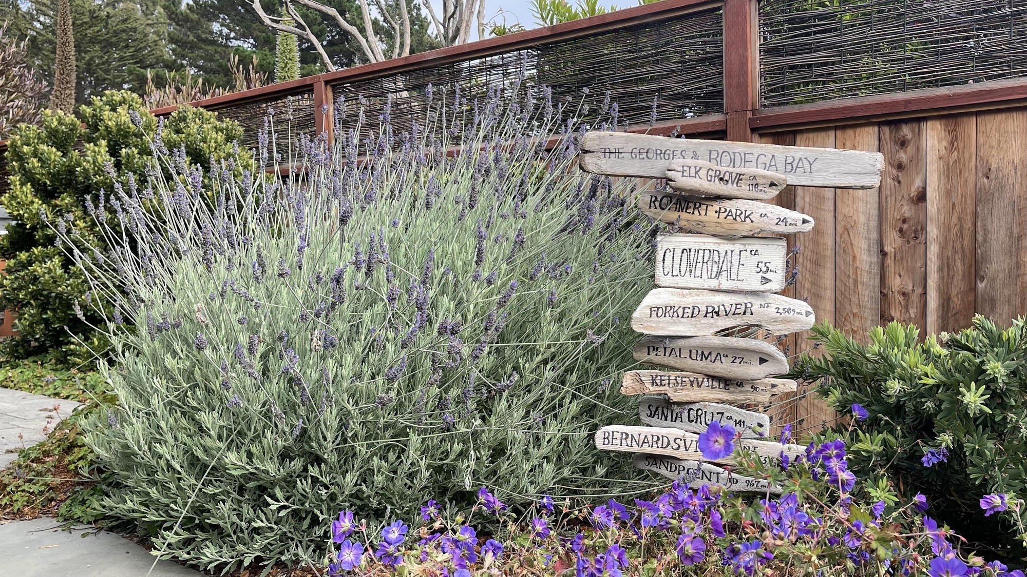 Gorgeous Bayside Backyard in Wine Country - Photo 6