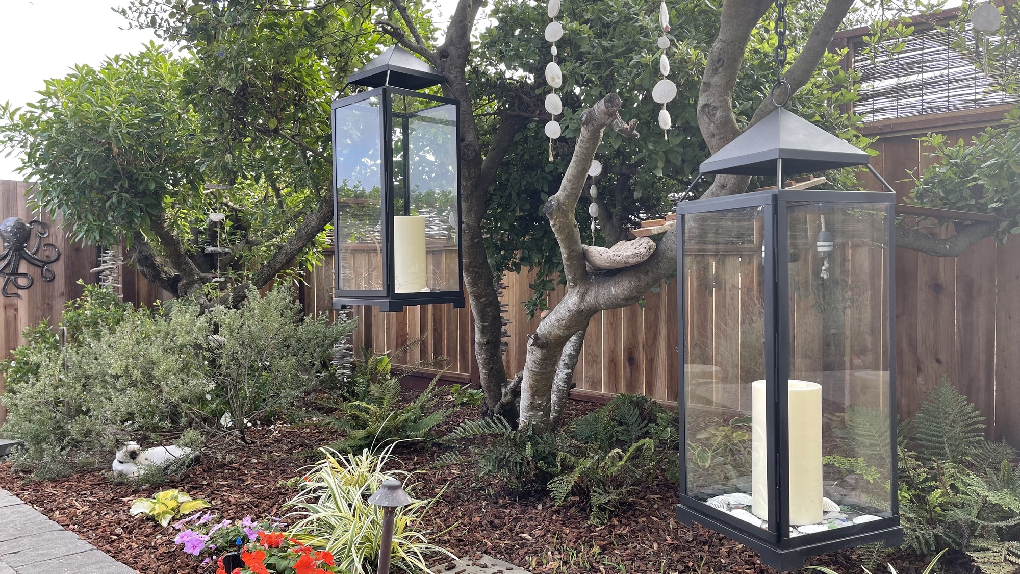 Gorgeous Bayside Backyard in Wine Country - Photo 7