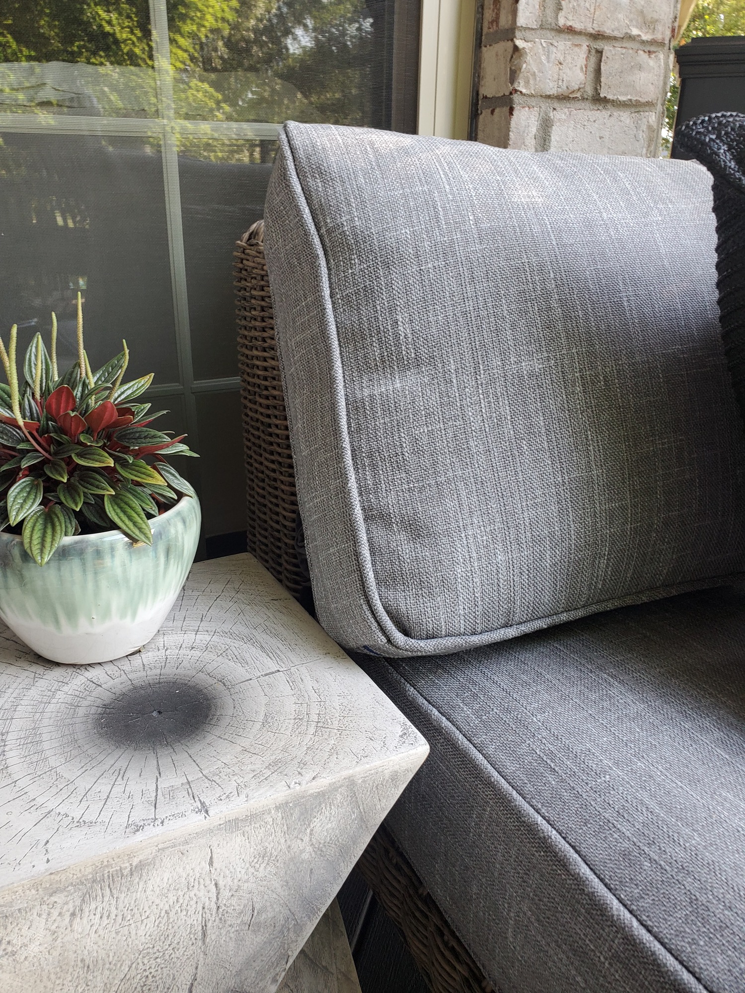 Eclectic, Lush Deck in Albany, IN - Photo 7