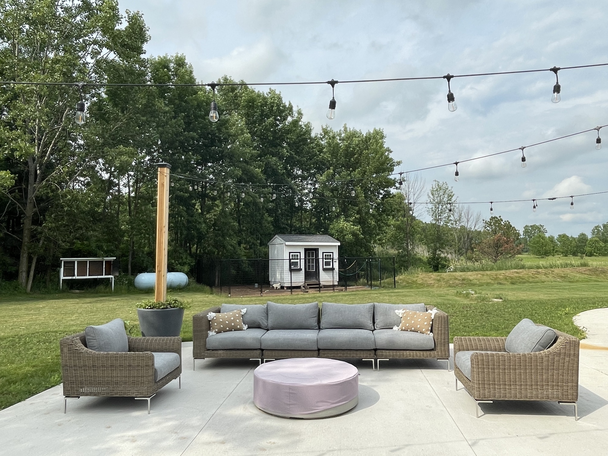 A Country Backyard Where the Chickens Roam - Photo 1