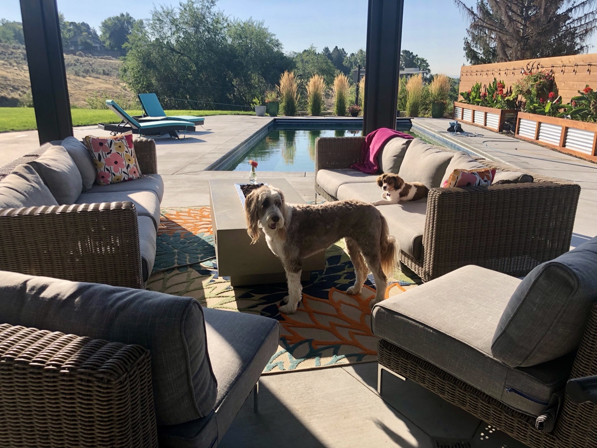 A Poolside Social Hub Near Boise - Photo 2