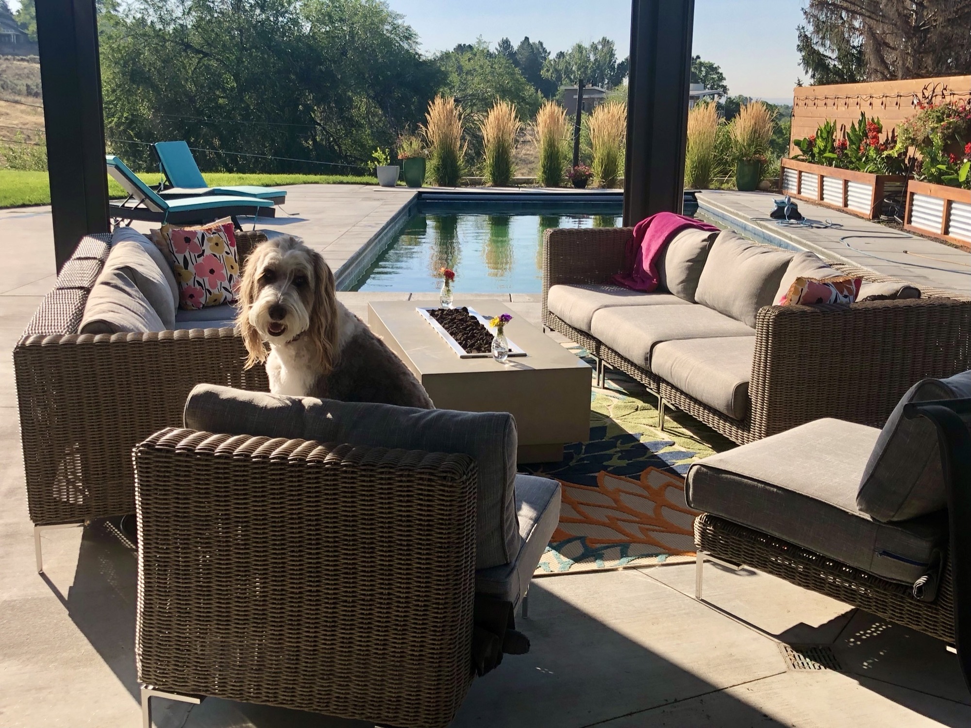 A Poolside Social Hub Near Boise - Photo 5