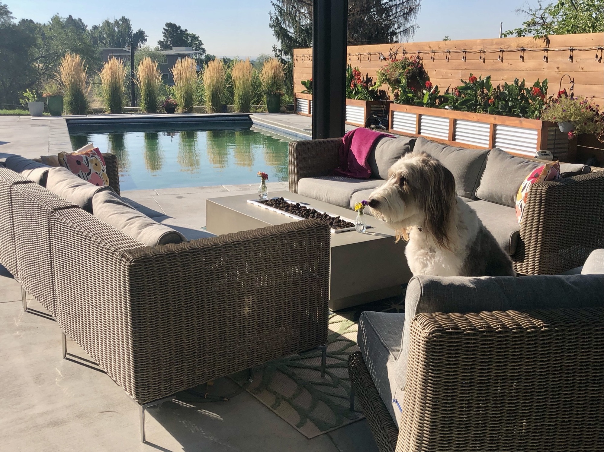 A Poolside Social Hub Near Boise - Photo 7