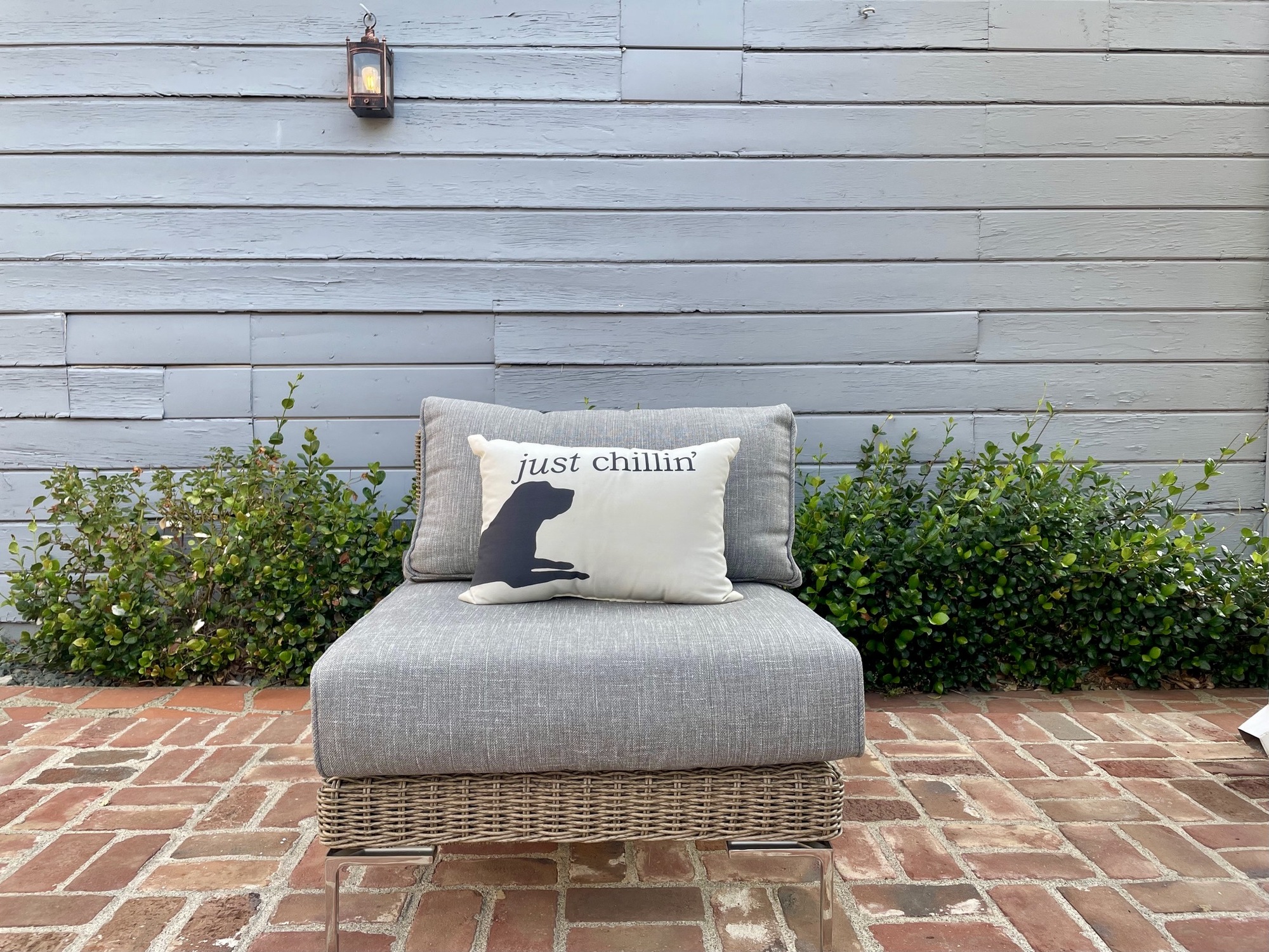 A Verdant, Modern Backyard in Sacramento - Photo 2