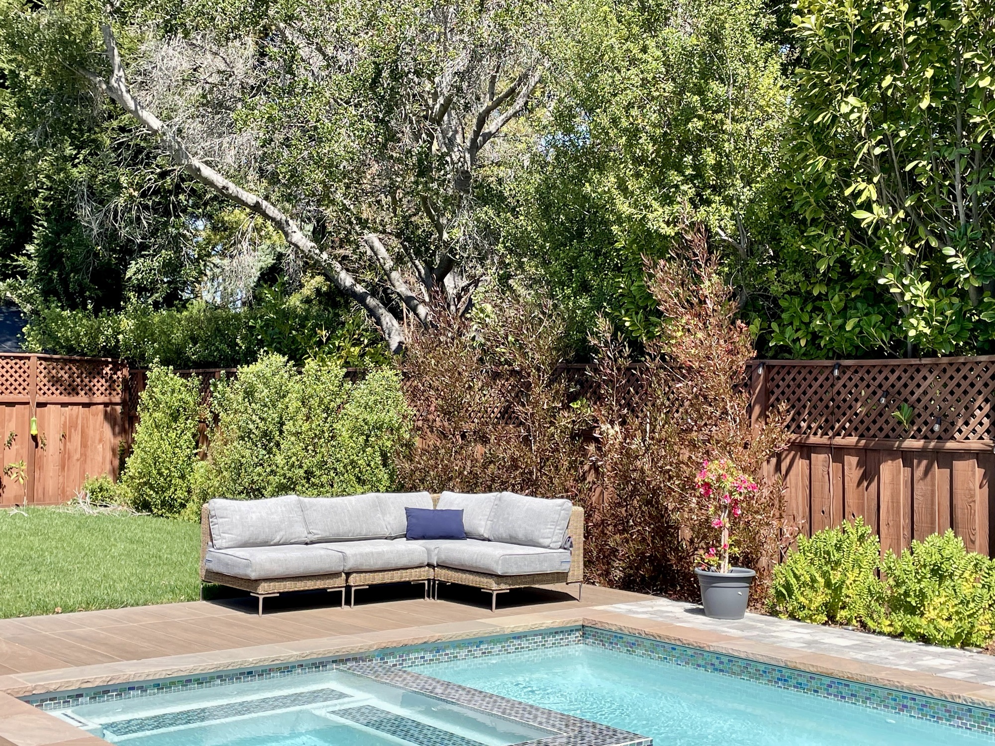 A Family of 5’s Spacious Los Altos Backyard - Photo 1
