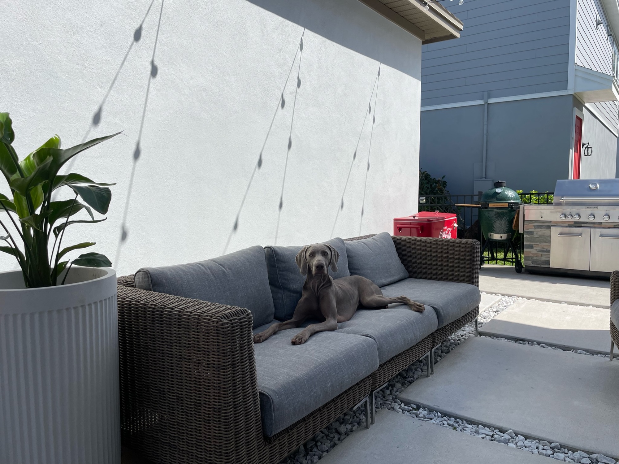 A Contemporary Backyard In Orlando, FL - Photo 4