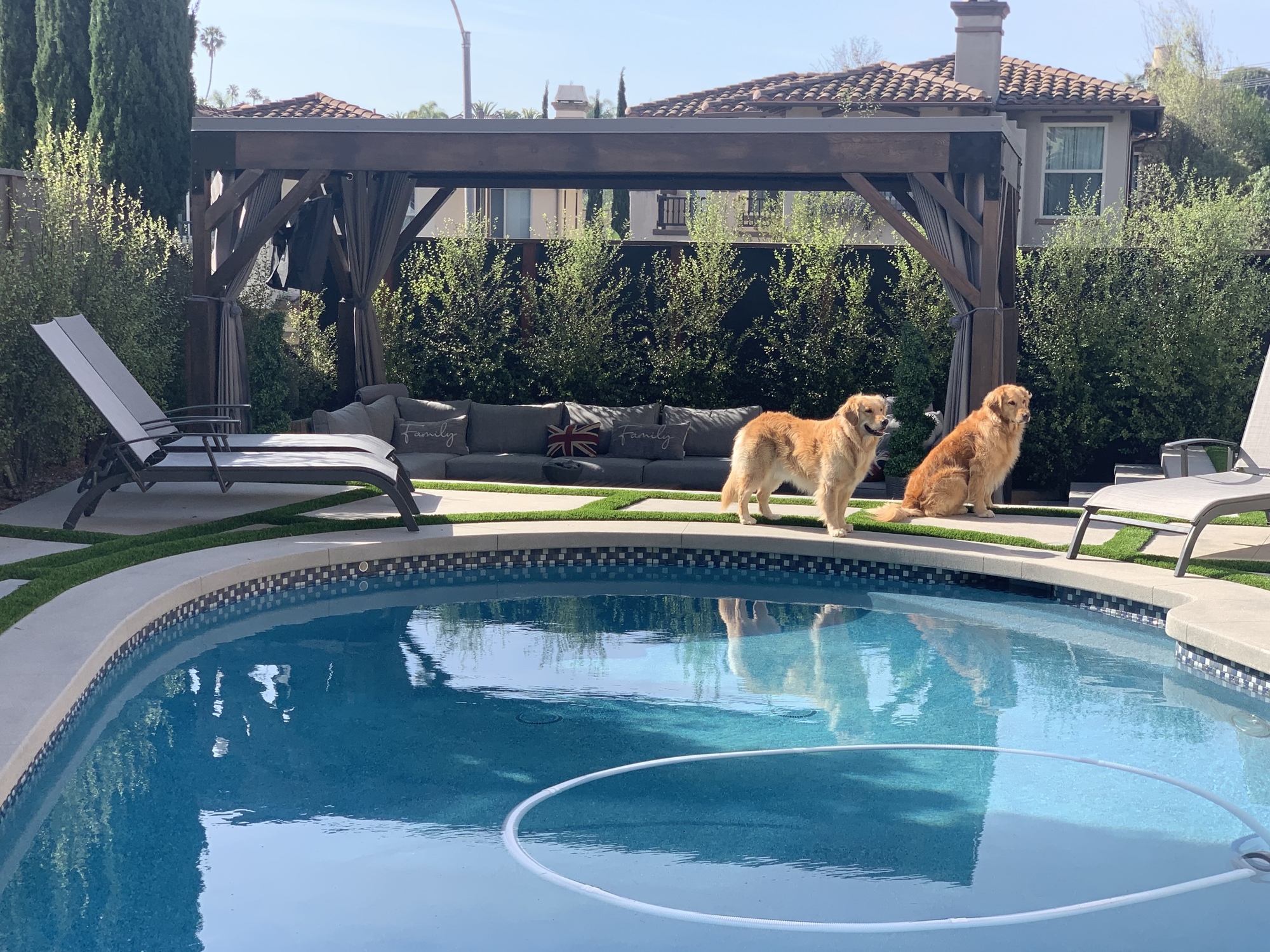 An Outdoor Oasis in Dana Point, CA - Photo 6