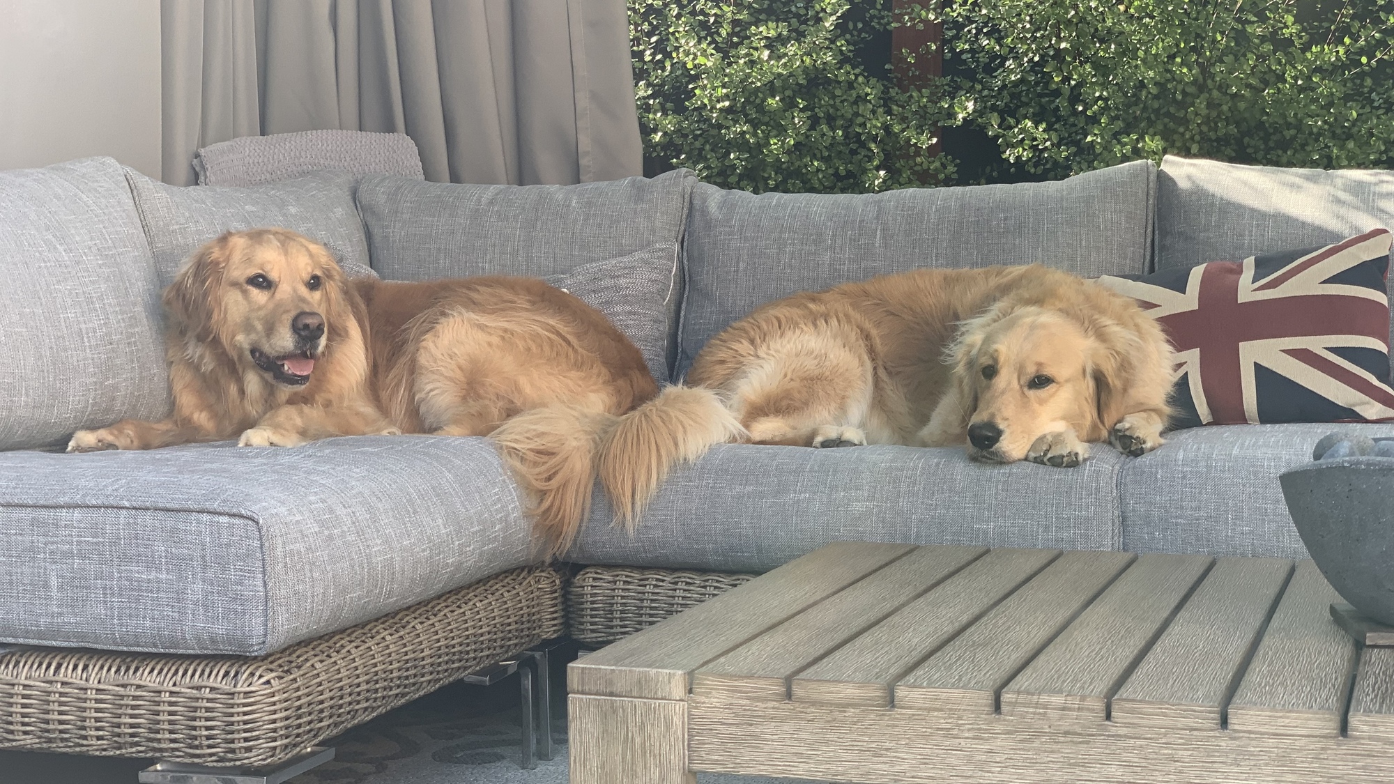 An Outdoor Oasis in Dana Point, CA - Photo 7