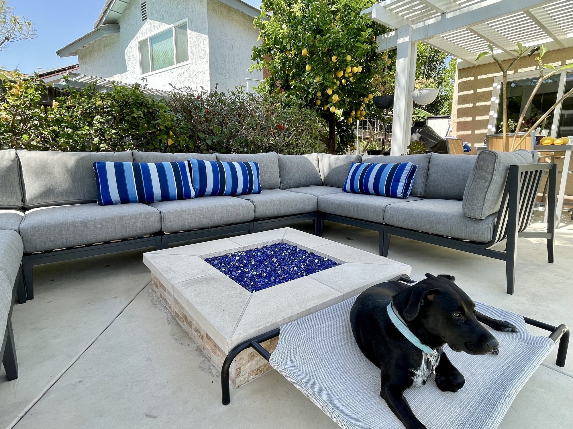 Relaxing “Club M” in Lake Forest, CA - Photo 4