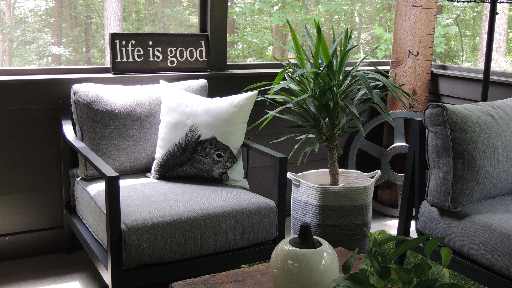 A Screened-In Back Porch Surrounded by North Carolina Woods - Photo 3