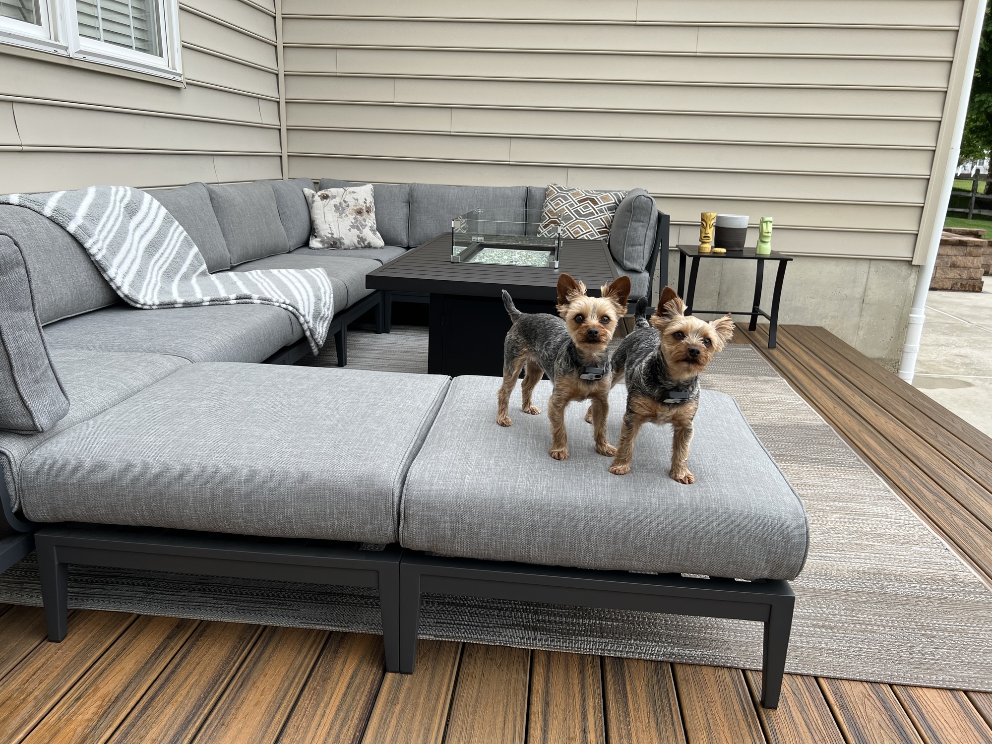 A Family’s Poolside Oasis in Exton, PA - Photo 8