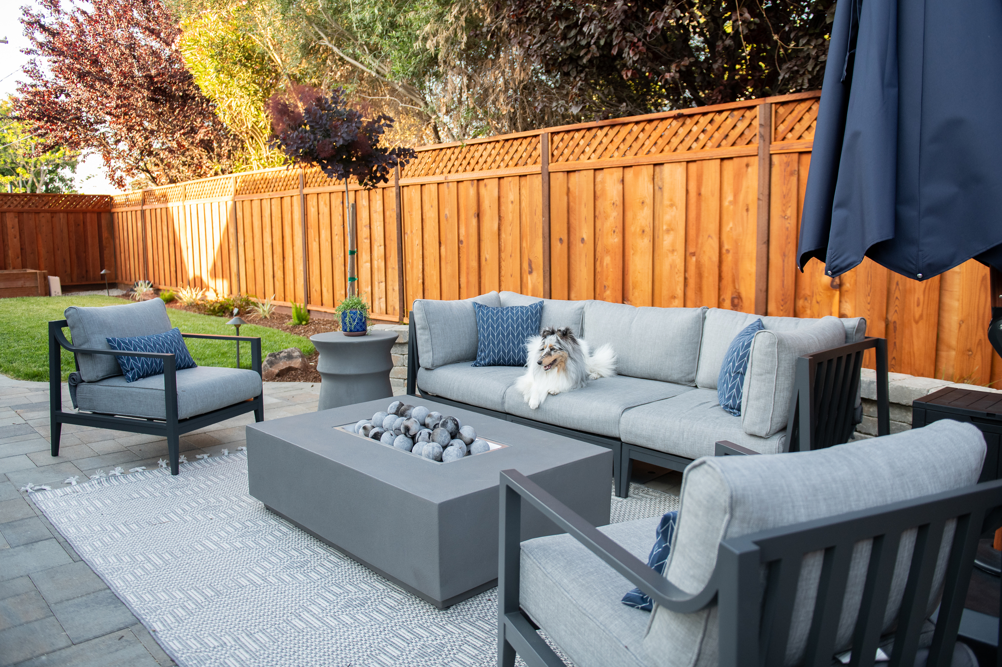 A Gorgeous Backyard Redesign in Campbell, CA - Photo 4