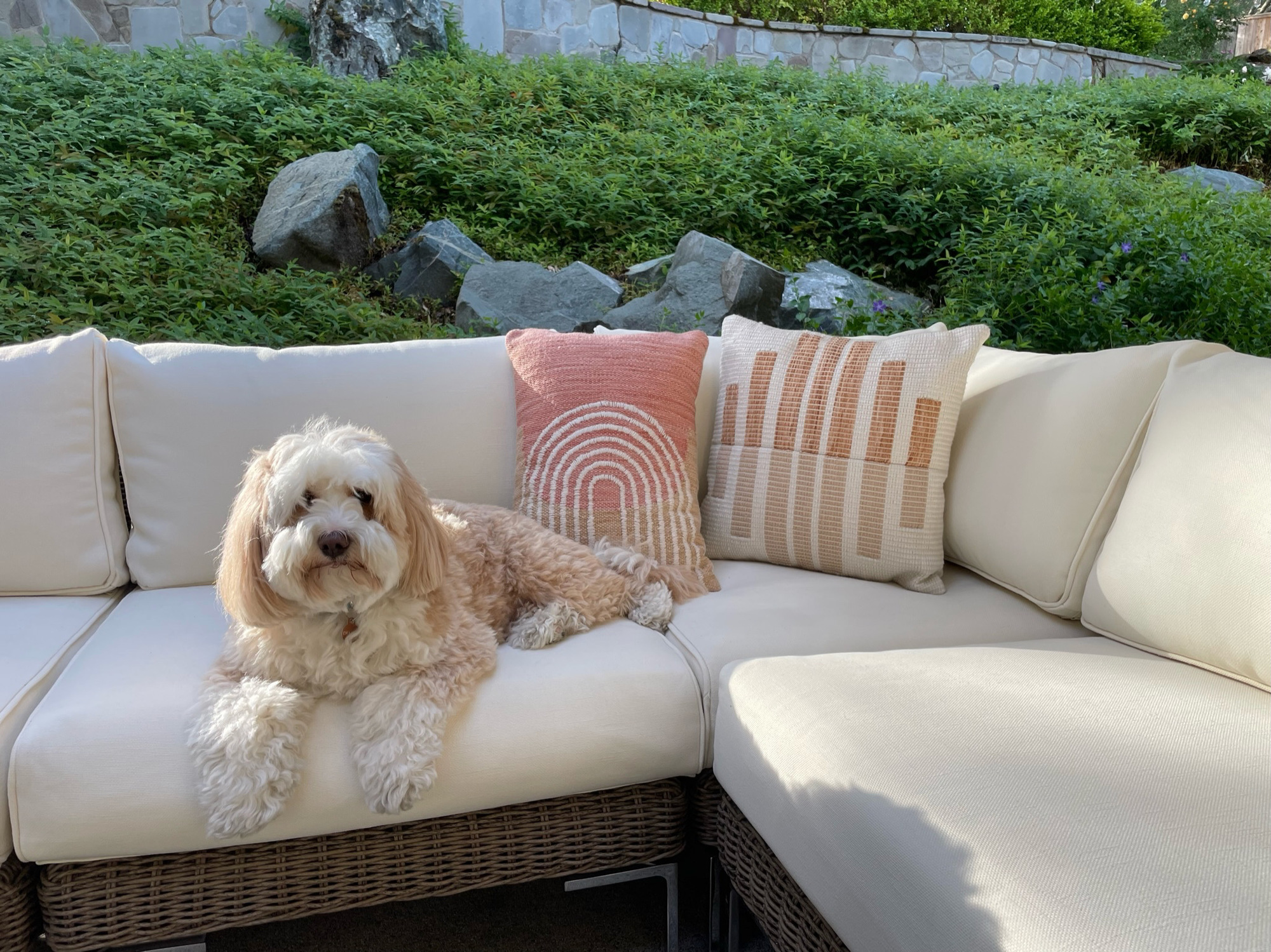 Empty Nesters’ Backyard Living Room in El Dorado Hills - Photo 6